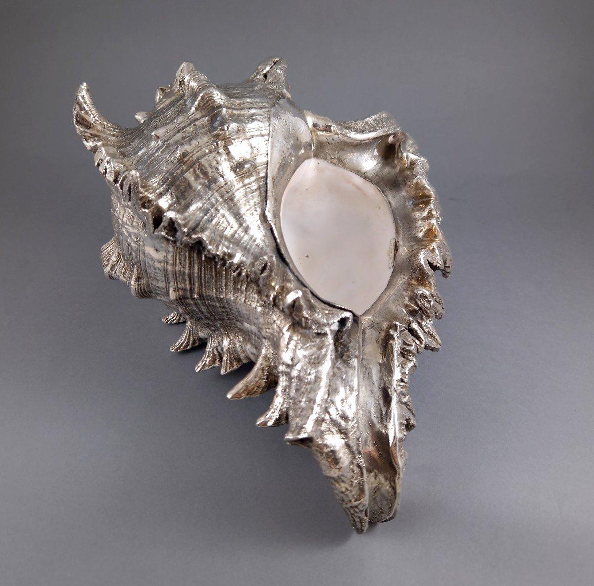 Buccellati - Large Mounted Shell In Sterling Silver 4