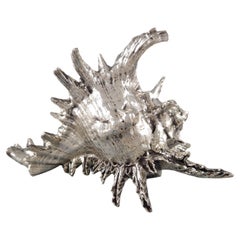 Buccellati - Large Mounted Shell In Sterling Silver