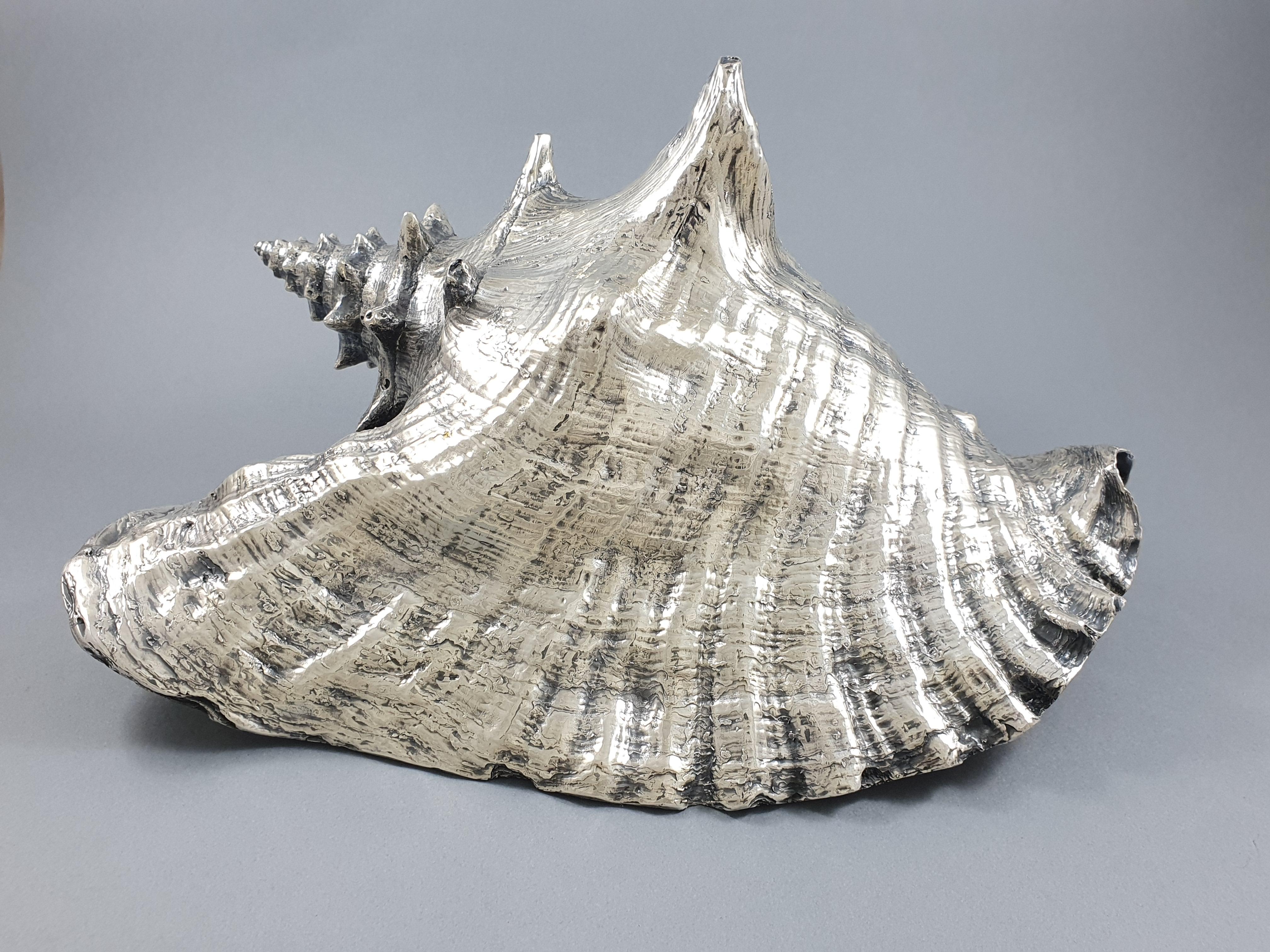 Large shell mounted in sterling silver 

Hallmark of Frederico Buccellati and 999 silver 

Measures: Length: 26.5 cm 
Width: 20 cm 
Height: 14 cm

Great condition.
