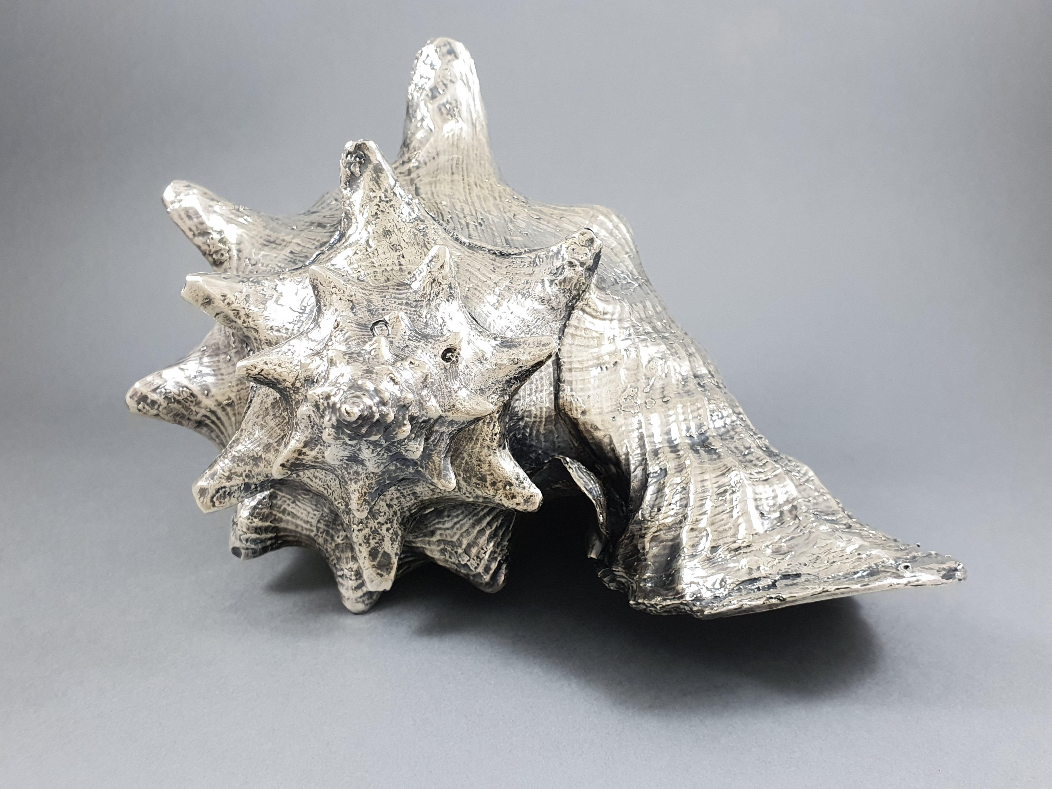 Italian Buccellati, Large Shell Mounted in Sterling Silver