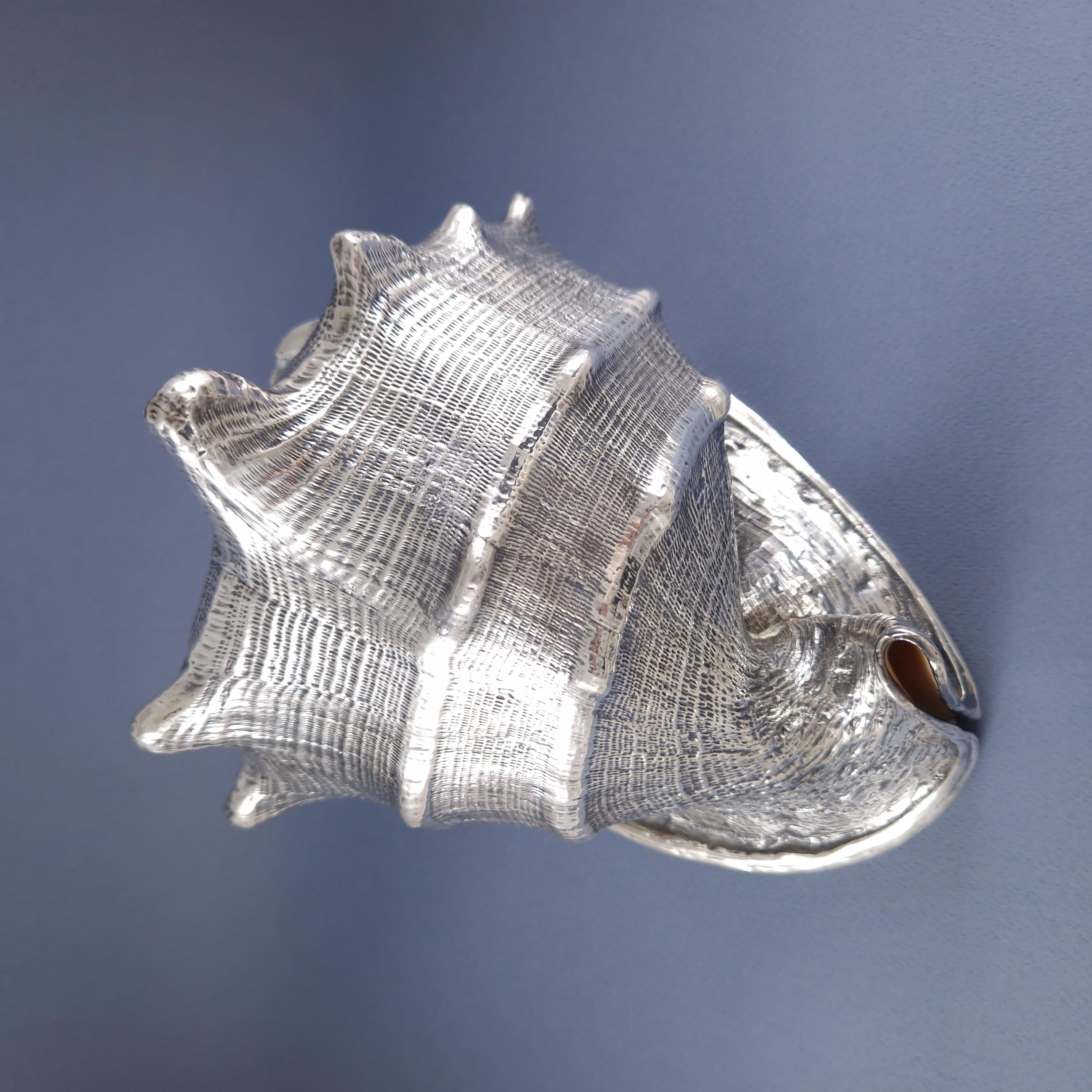 Late 20th Century Buccellati - Large Shell Mounted In Sterling Silver For Sale
