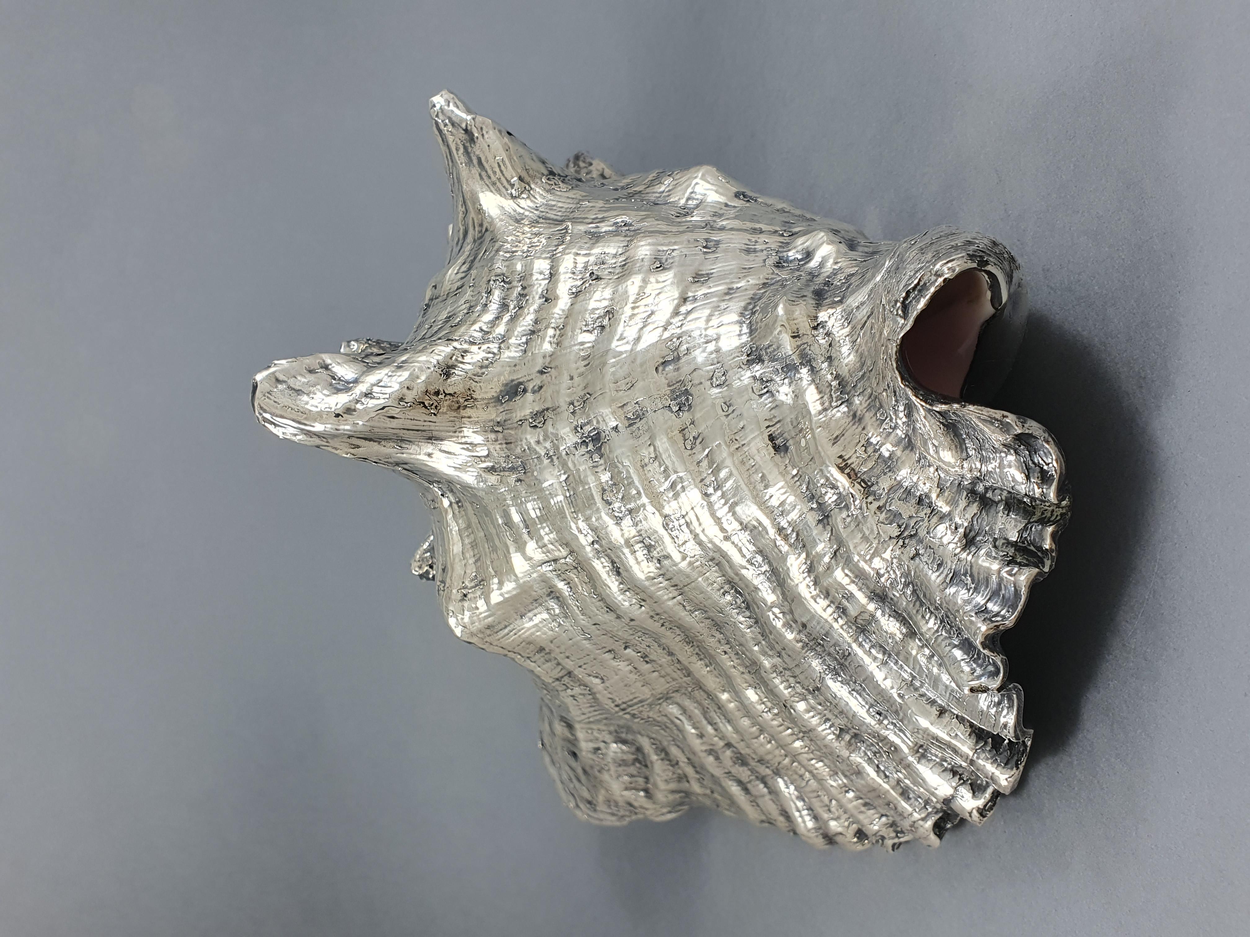 Buccellati, Large Shell Mounted in Sterling Silver 1