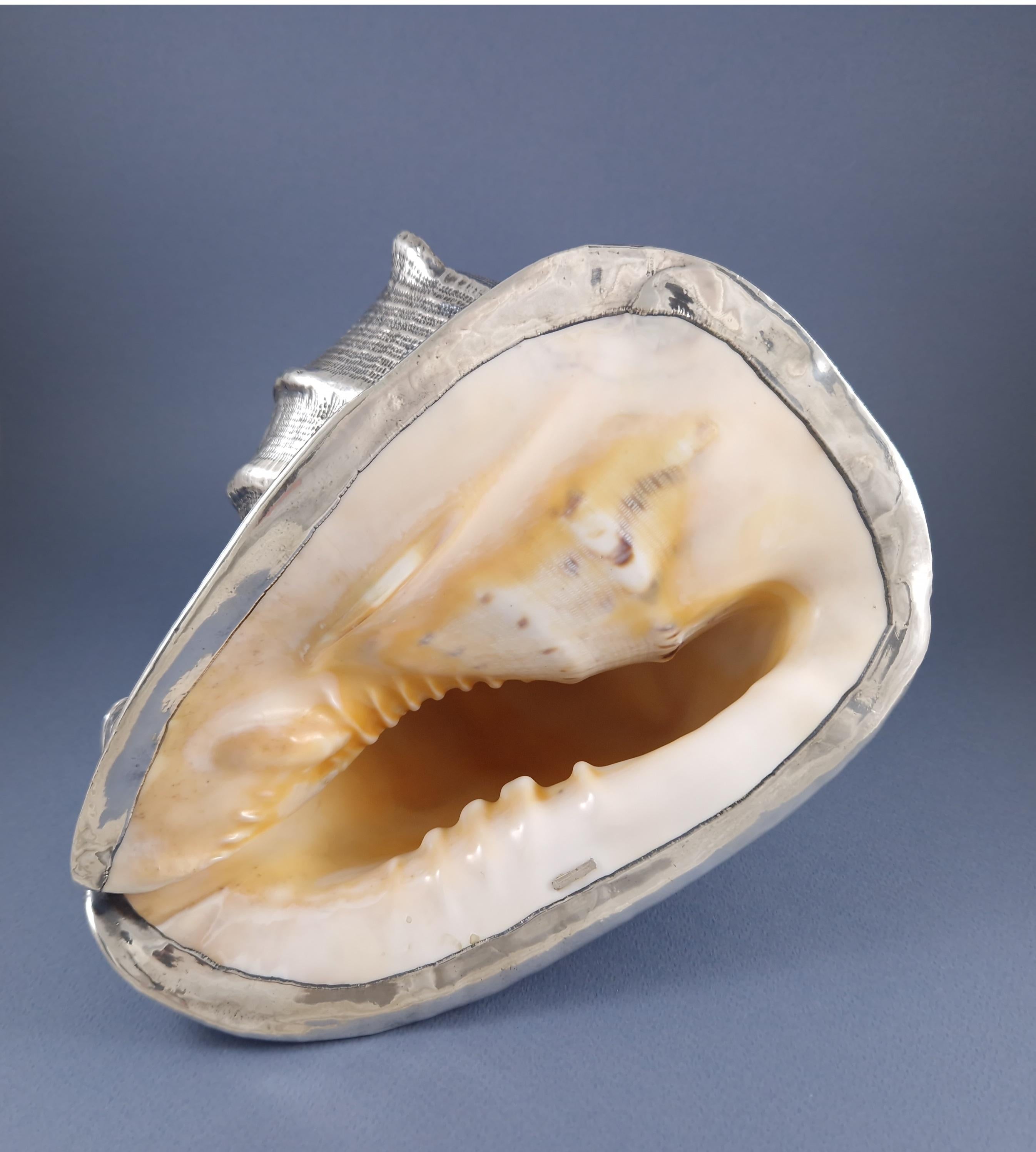 Buccellati - Large Shell Mounted In Sterling Silver For Sale 1