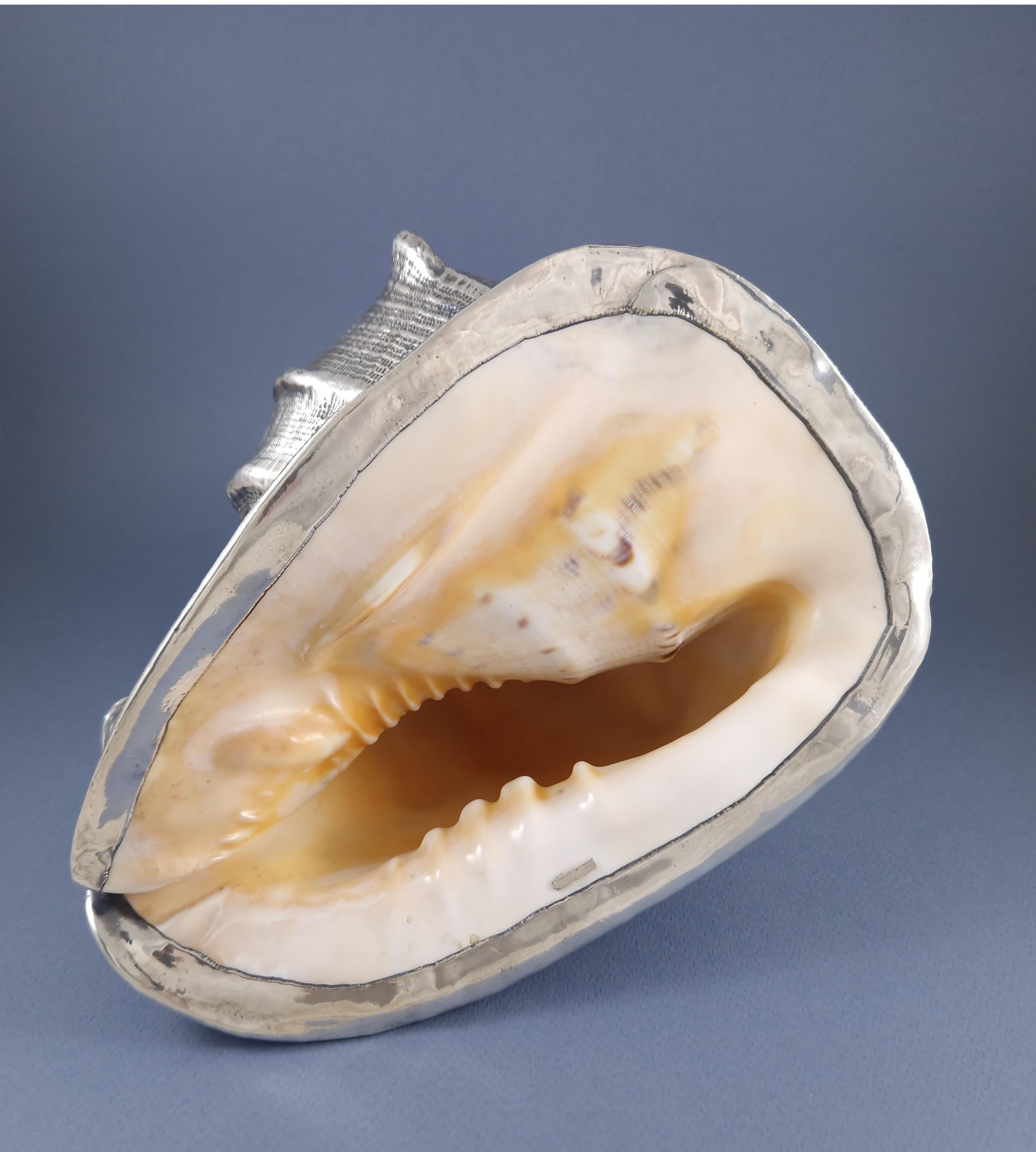 Buccellati - Grand coquillage monté en argent sterling Excellent état à Saint-Ouen, FR