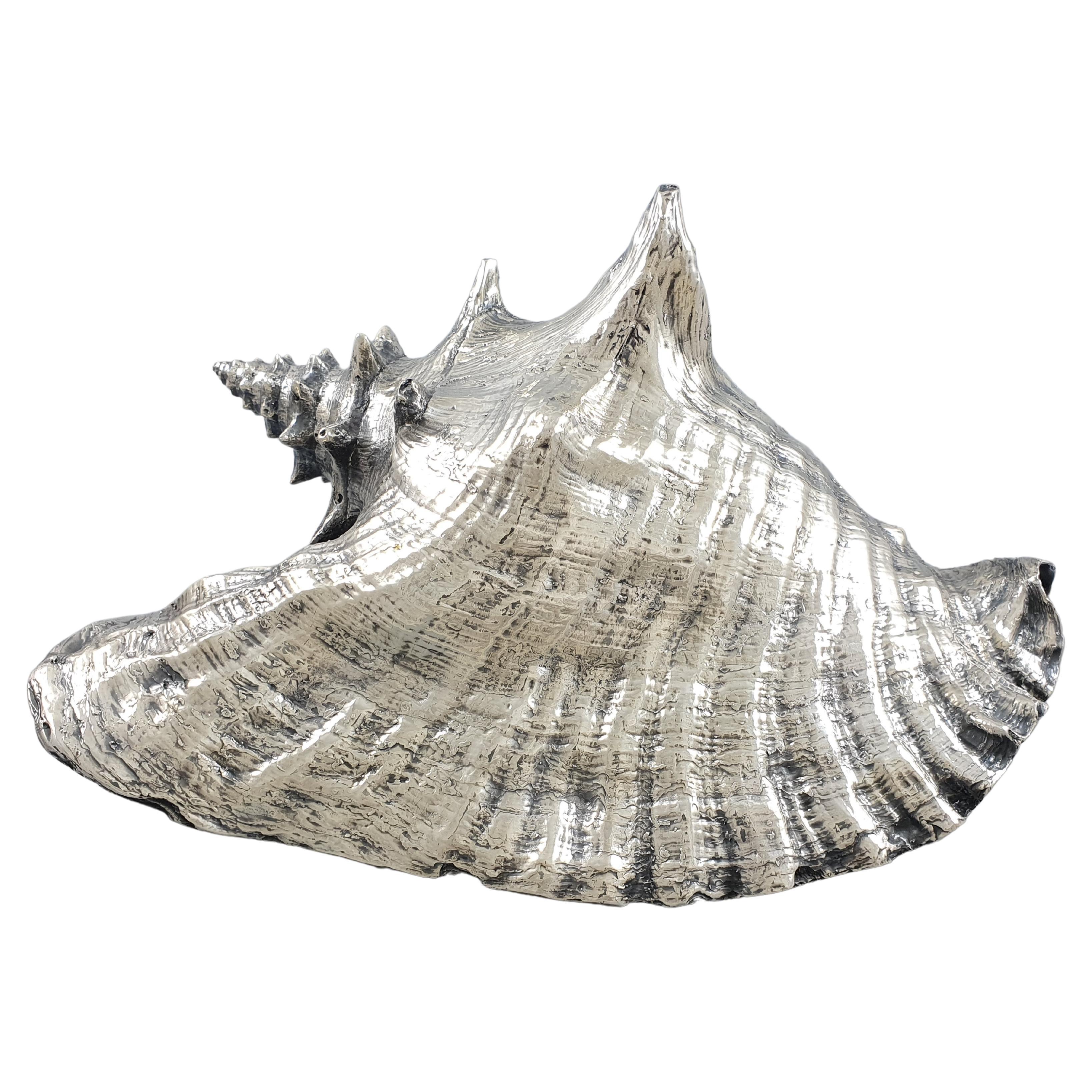 Buccellati, Large Shell Mounted in Sterling Silver