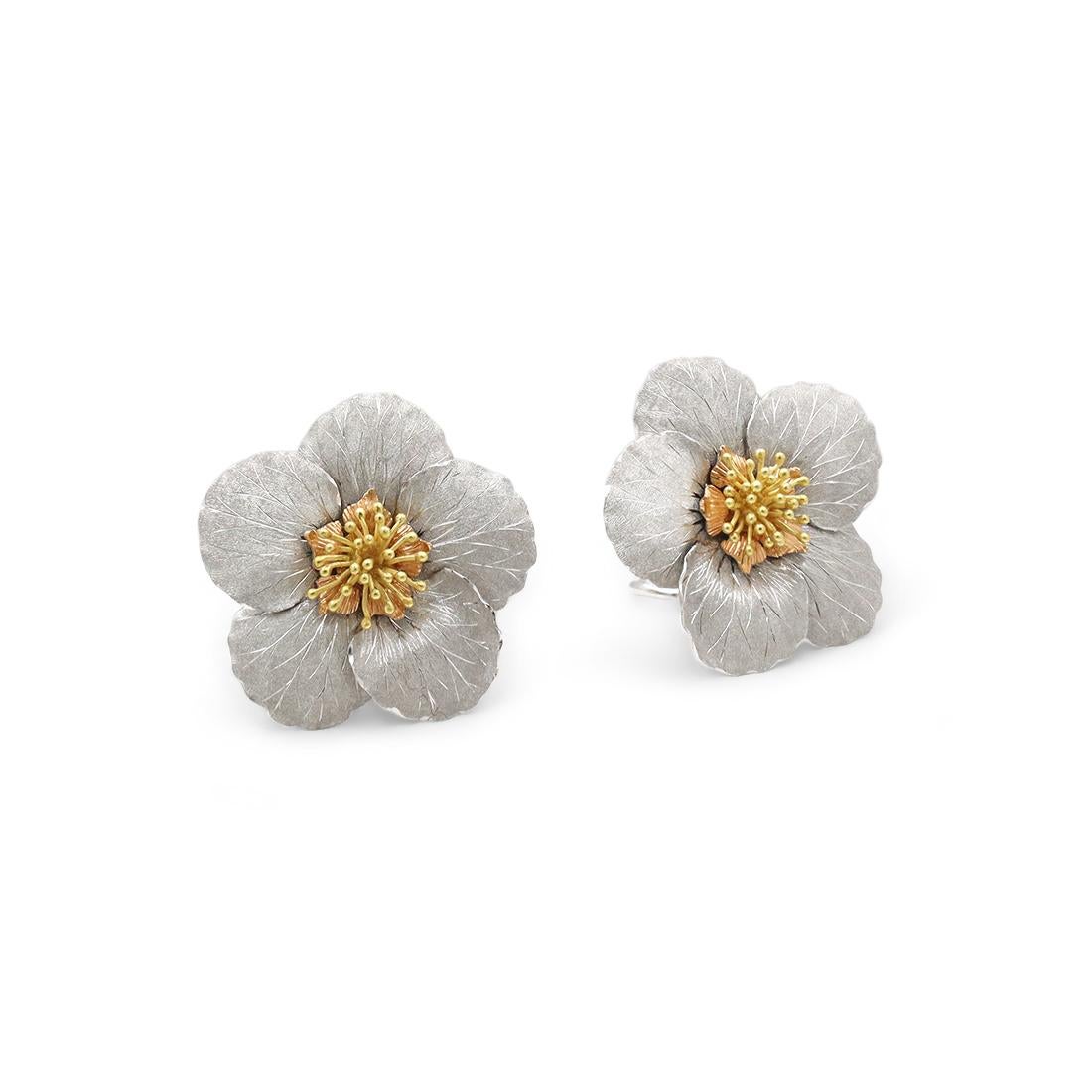 blossom69429
