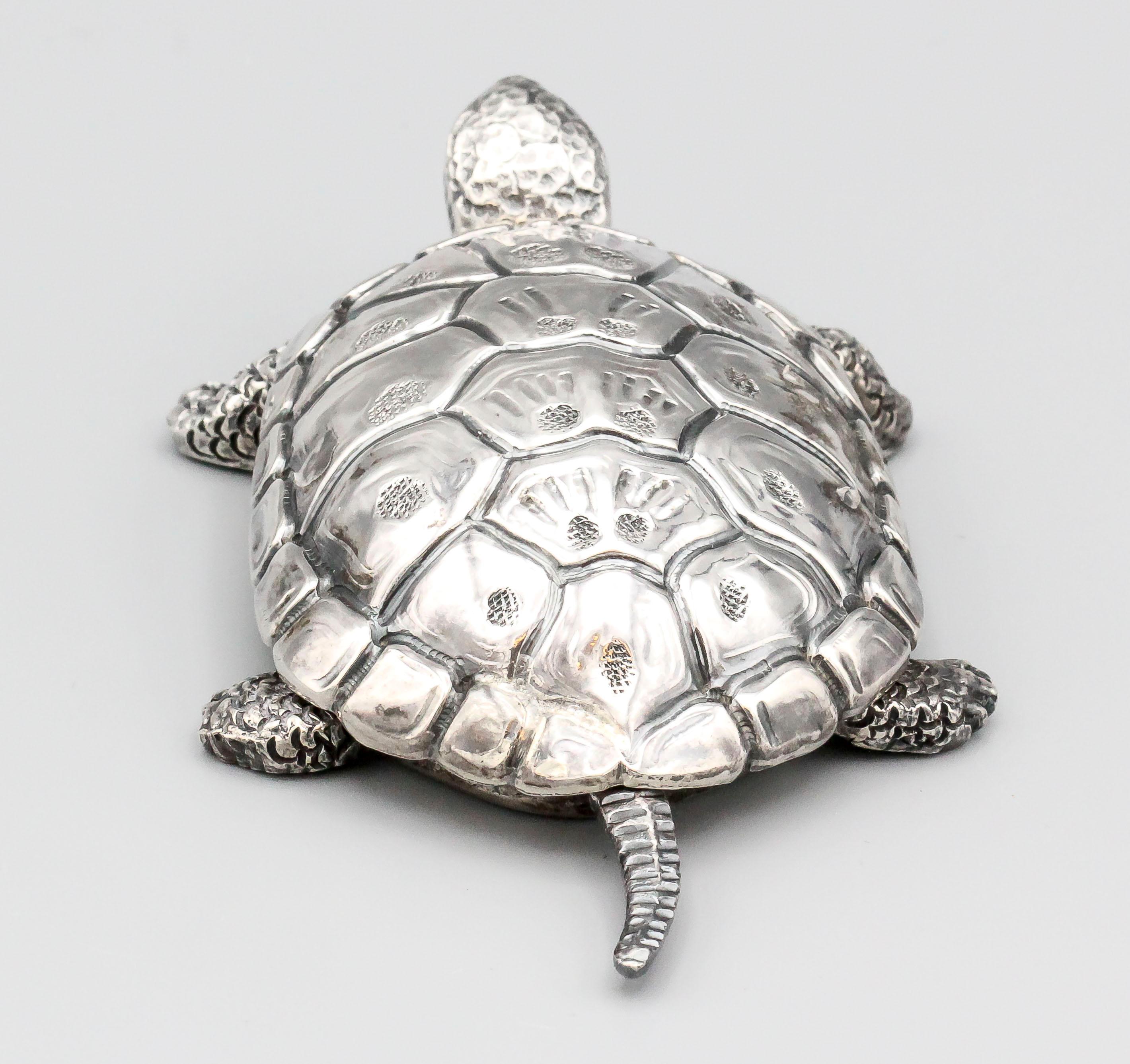 silverback turtle