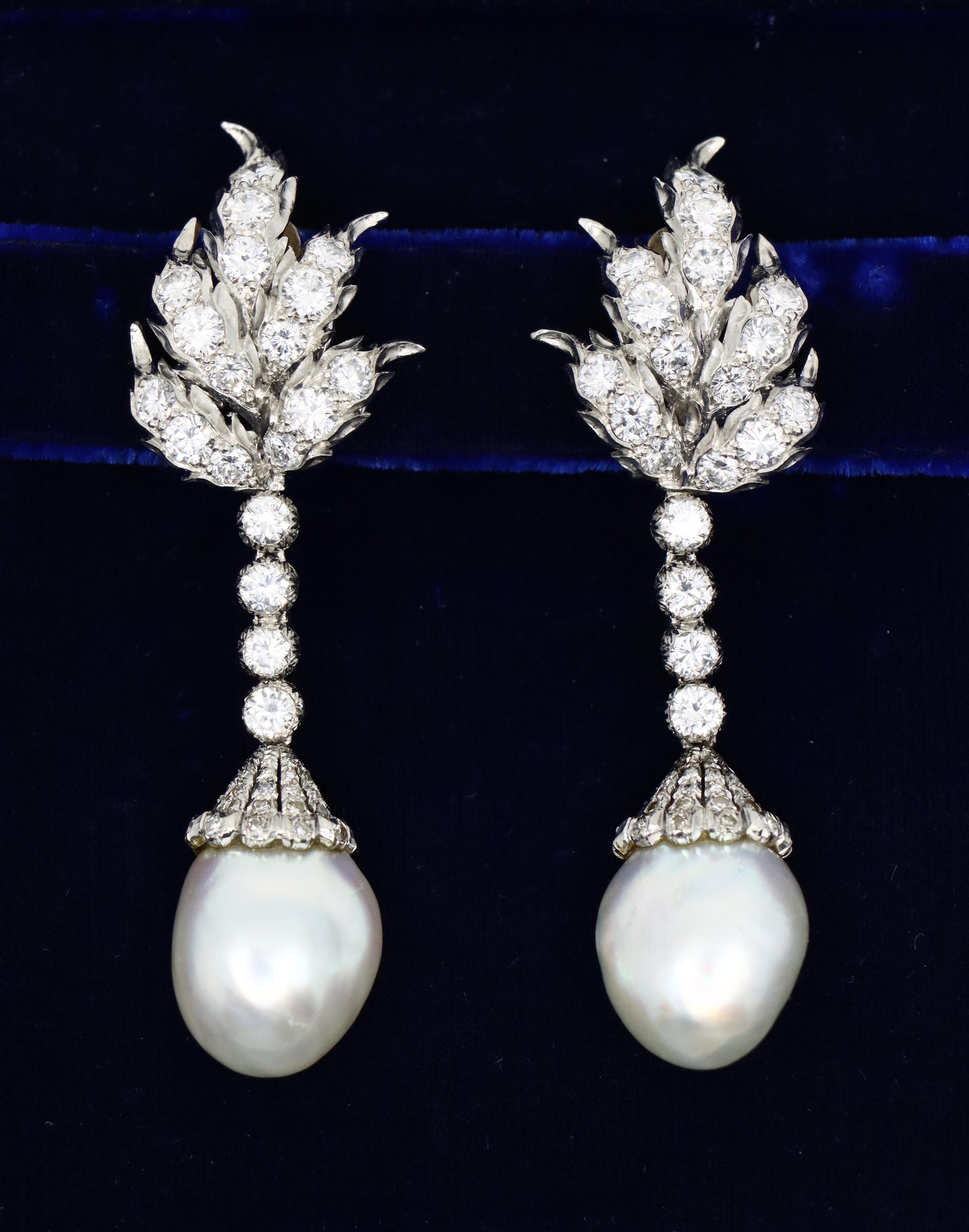 Buccellati Platinum Diamond Pearl Earring

Marked:
Buccellati
P.T
ITAlY

Approximate Dimensions:
6.5 cm (Length) 
2 cm (Width)
13.99 mm - 14.23 mm (Pearl)
31.7 grams in weight.