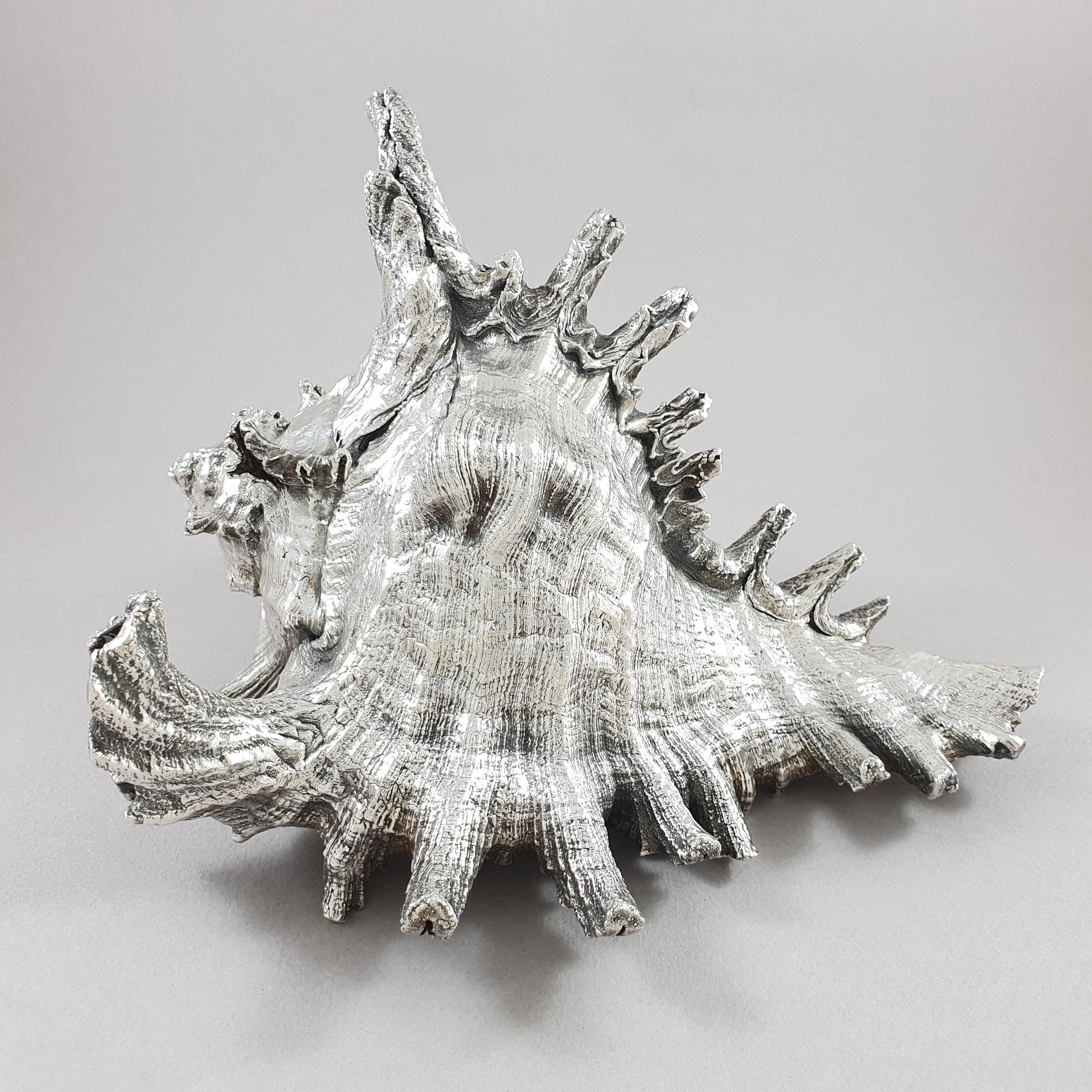 Late 20th Century Buccellati Shell Mounted in Sterling Silver