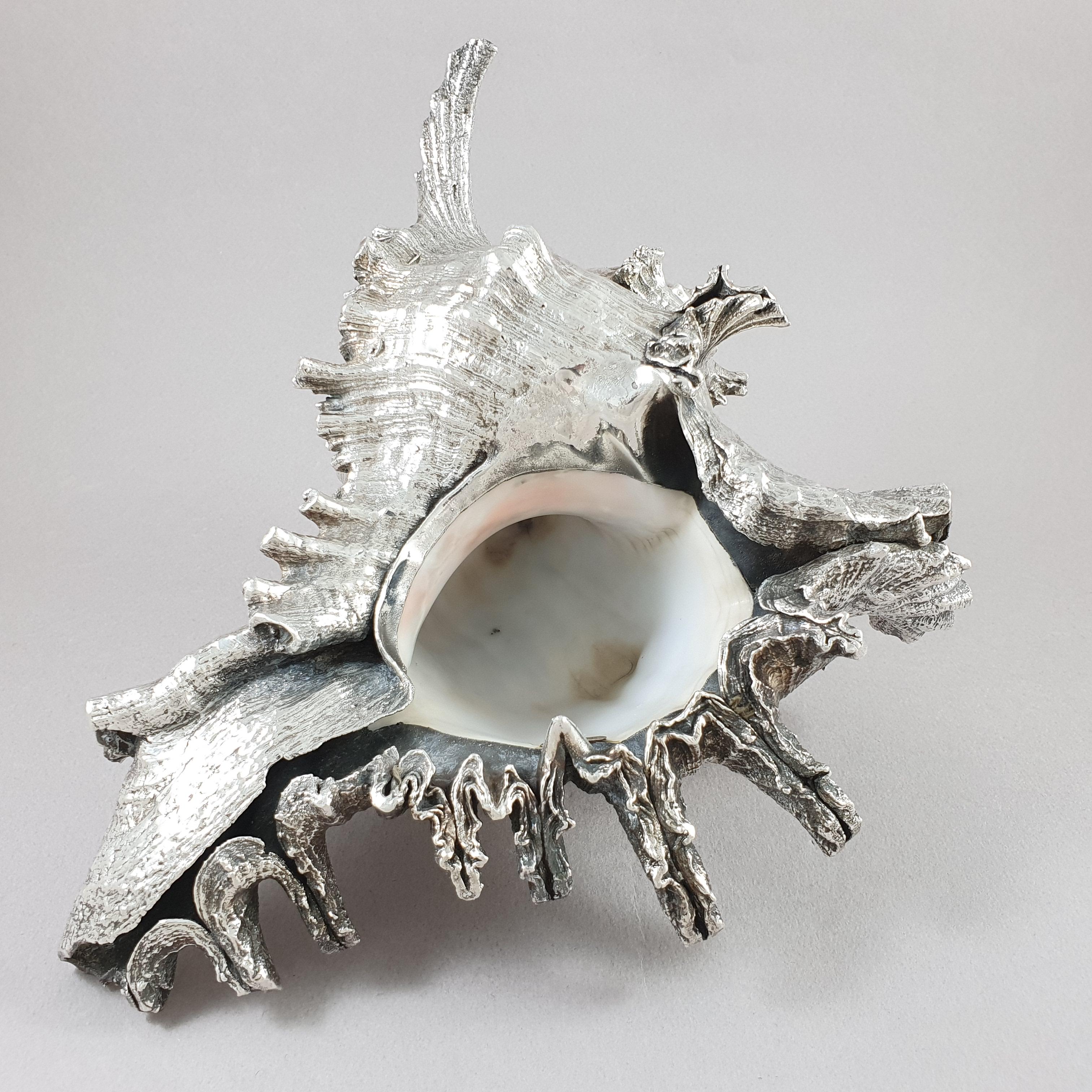 Buccellati Shell Mounted in Sterling Silver 2