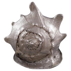 Buccellati - Shell Mounted In Sterling Silver