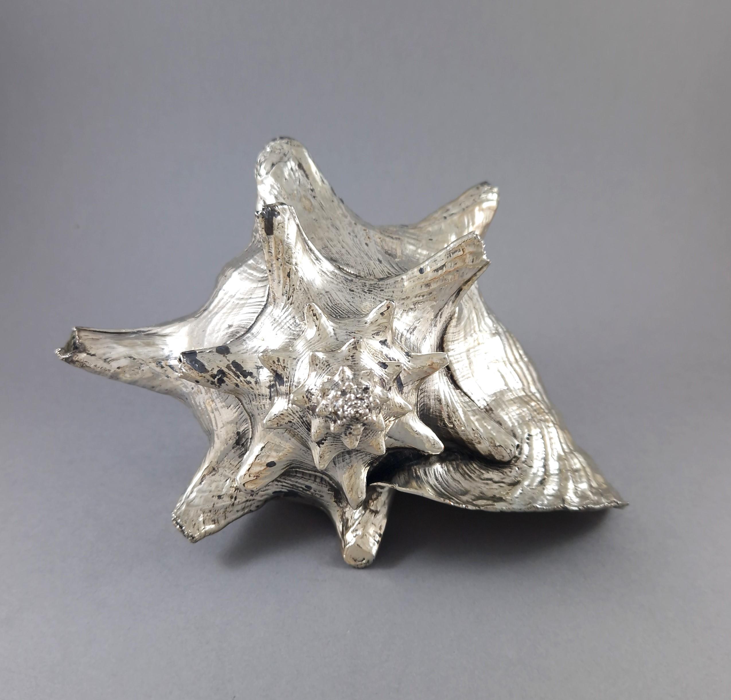 Conchiglia in argento Sterling di Buccellati

Lavoro italiano 1970