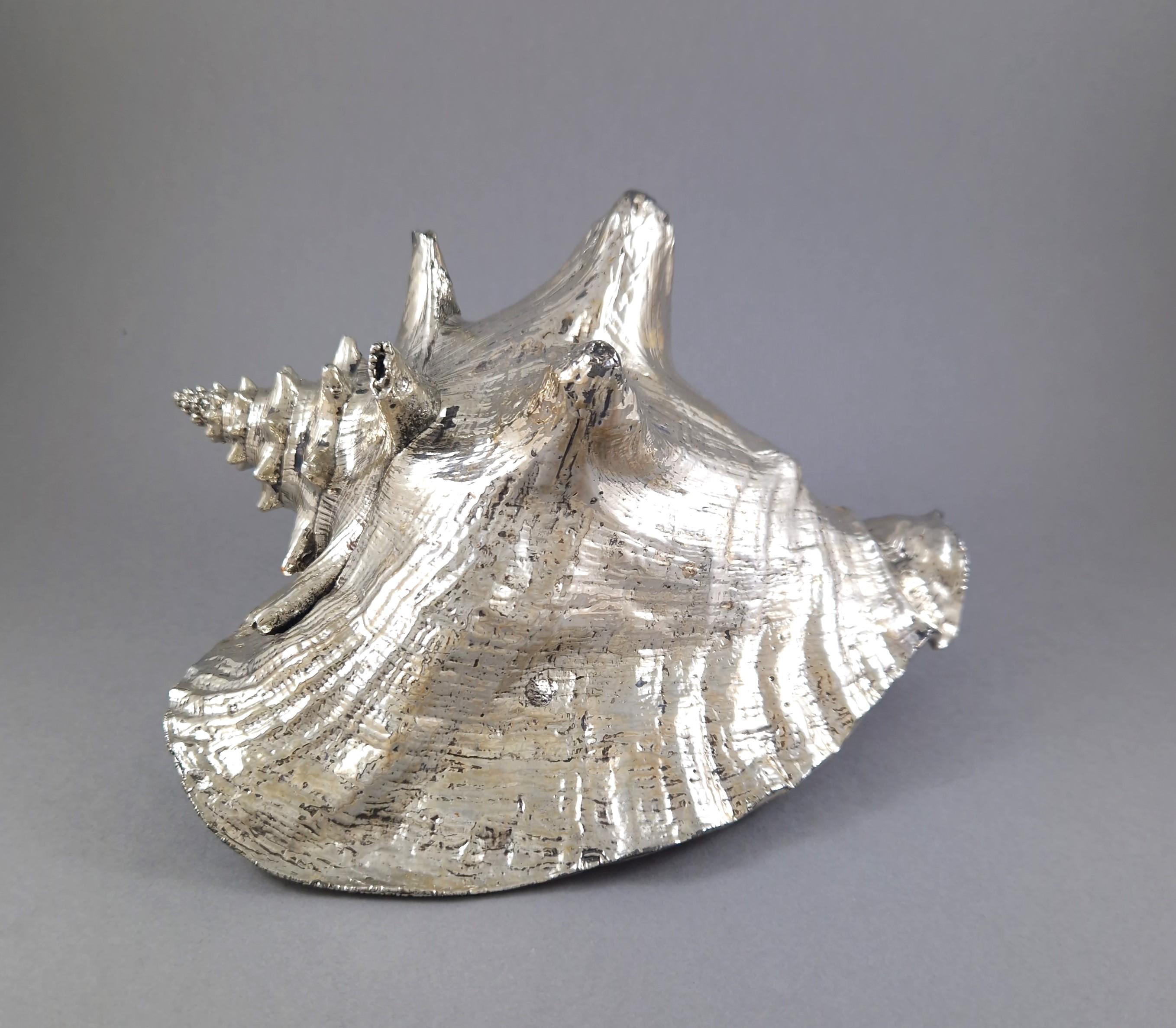 Italiano Conchiglia in argento Sterling di Buccellati in vendita