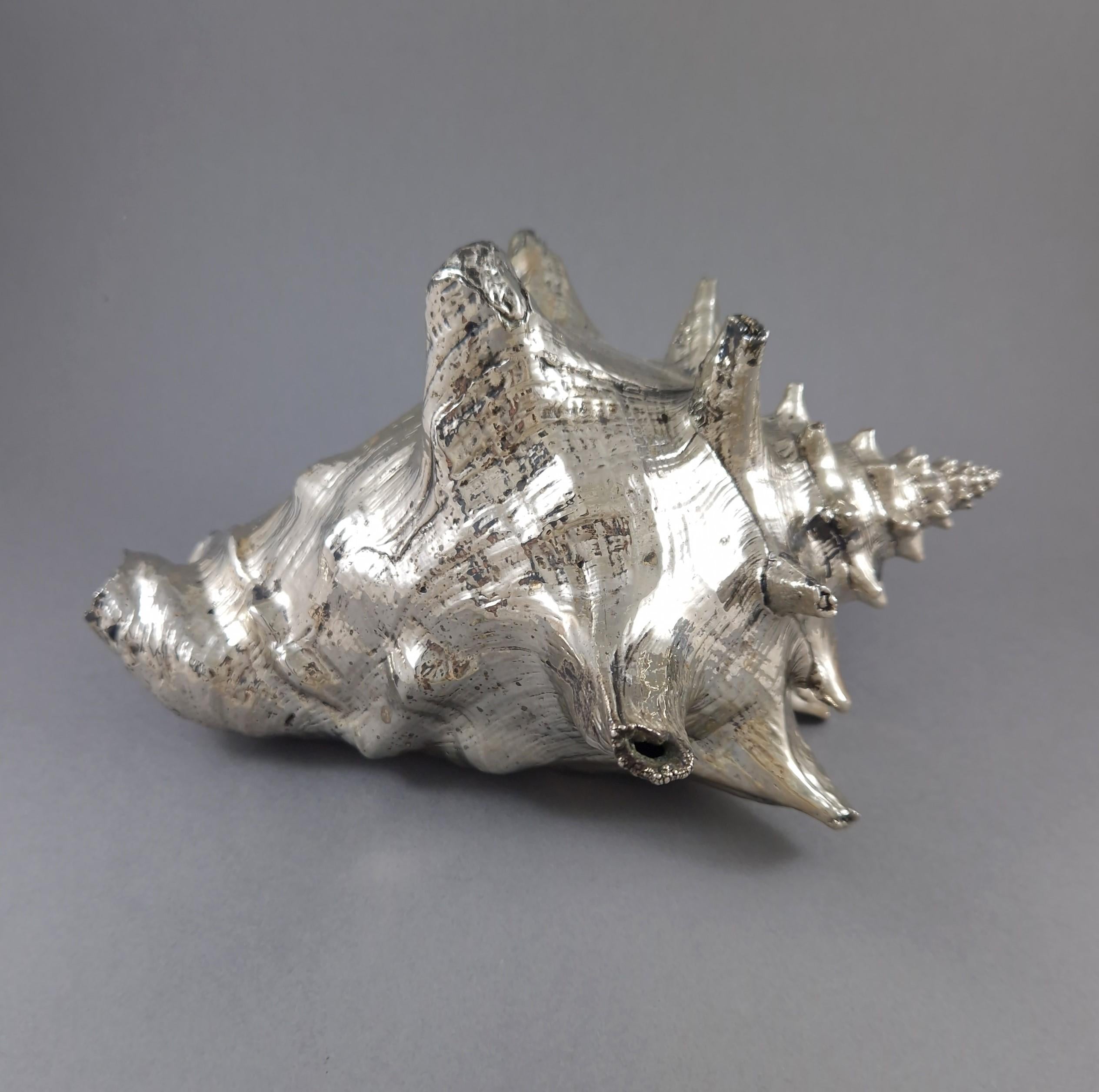 Fine XX secolo Conchiglia in argento Sterling di Buccellati in vendita