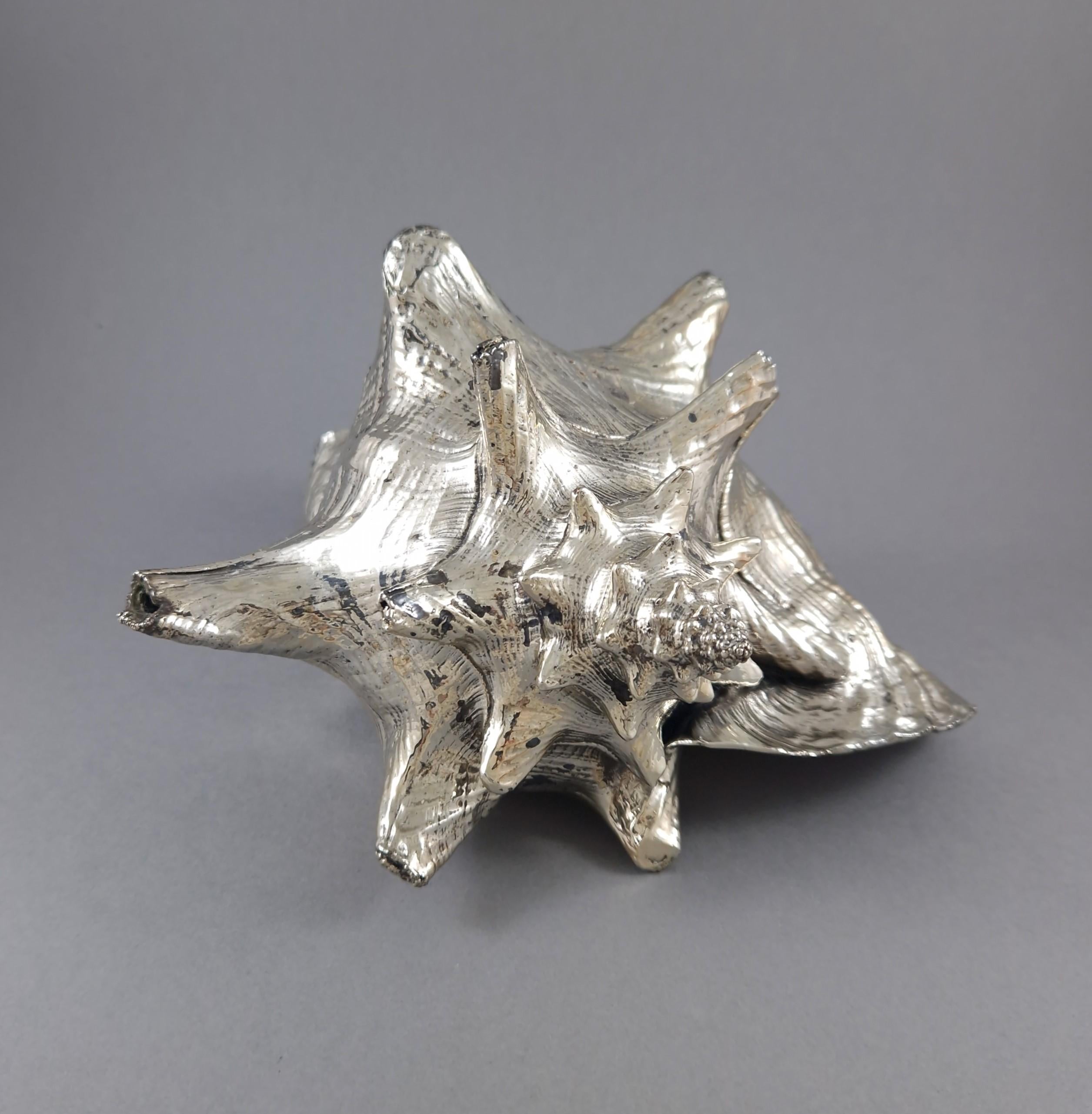 Argento 925 Conchiglia in argento Sterling di Buccellati in vendita