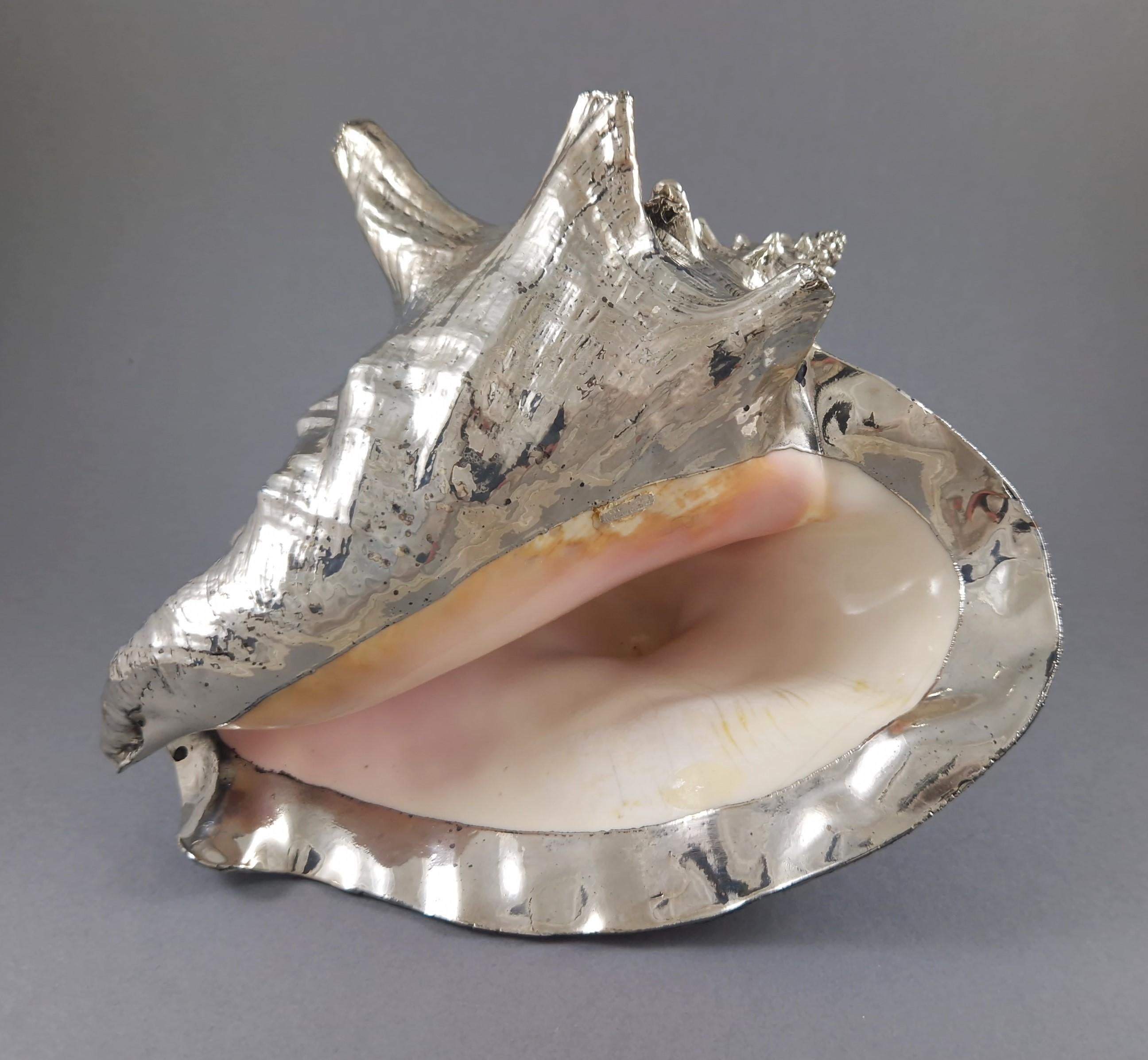 Conchiglia in argento Sterling di Buccellati in vendita 1