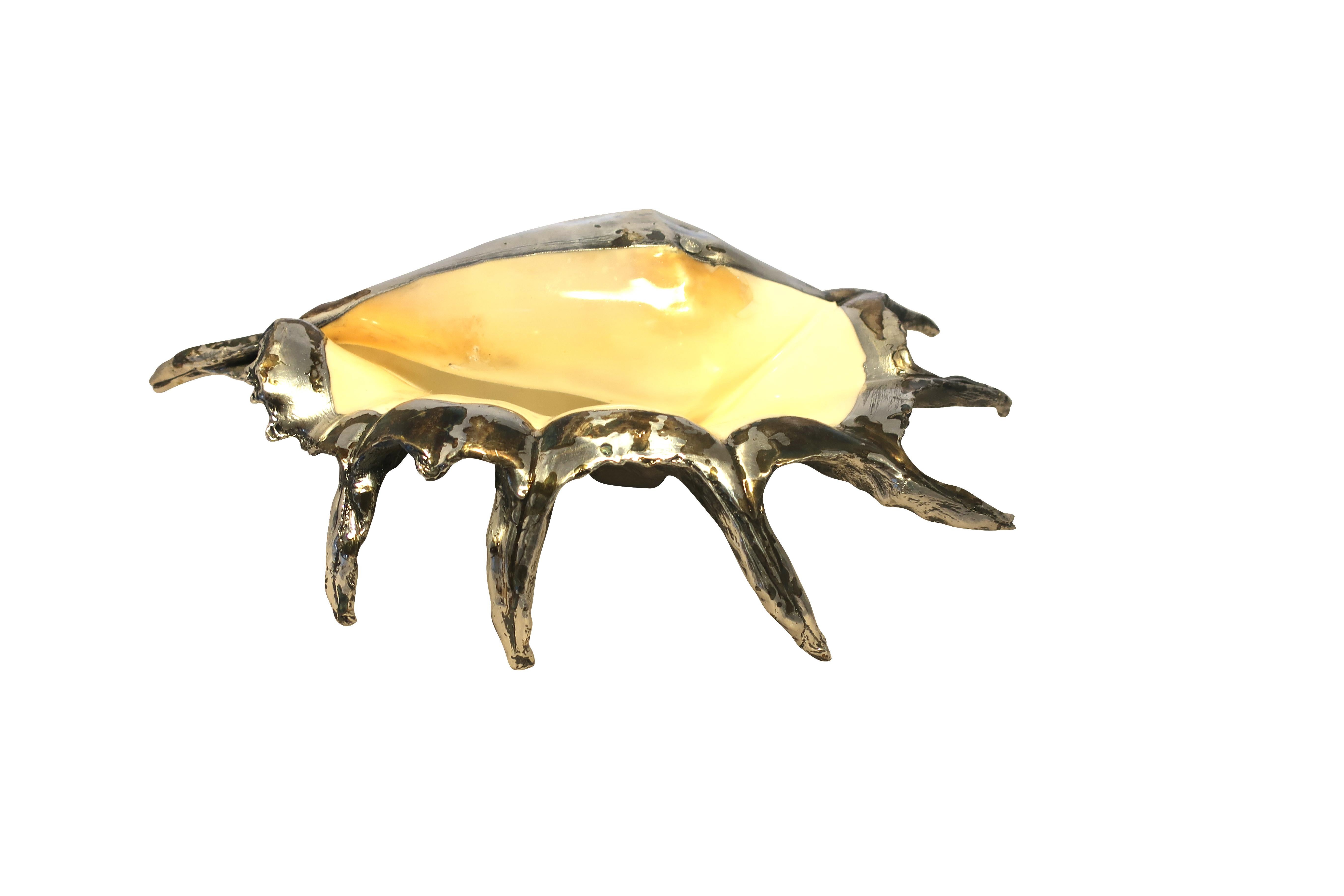 Buccellati Style Italian Silver Overlay Sea Shells 4