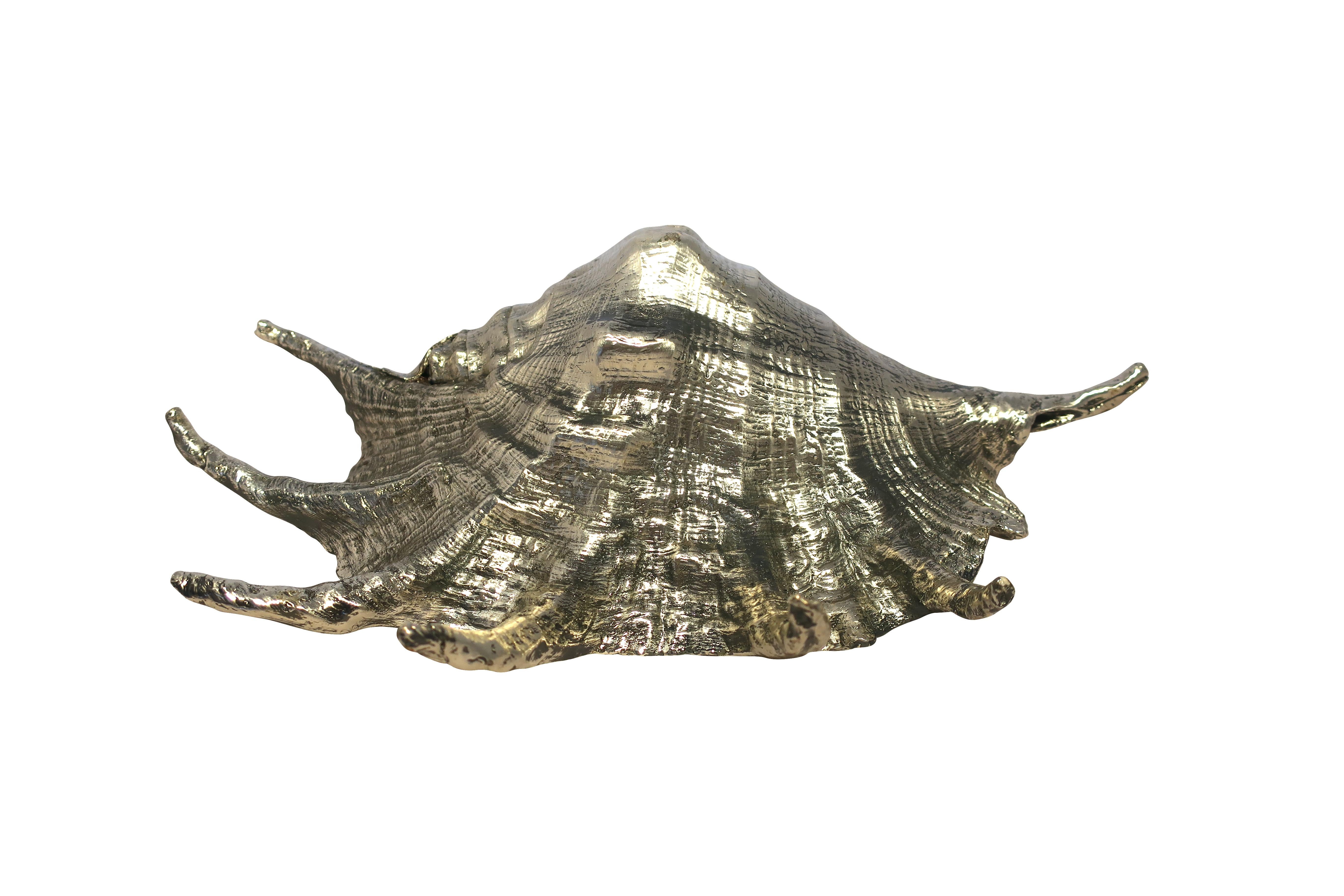 Buccellati Style Italian Silver Overlay Sea Shells  5