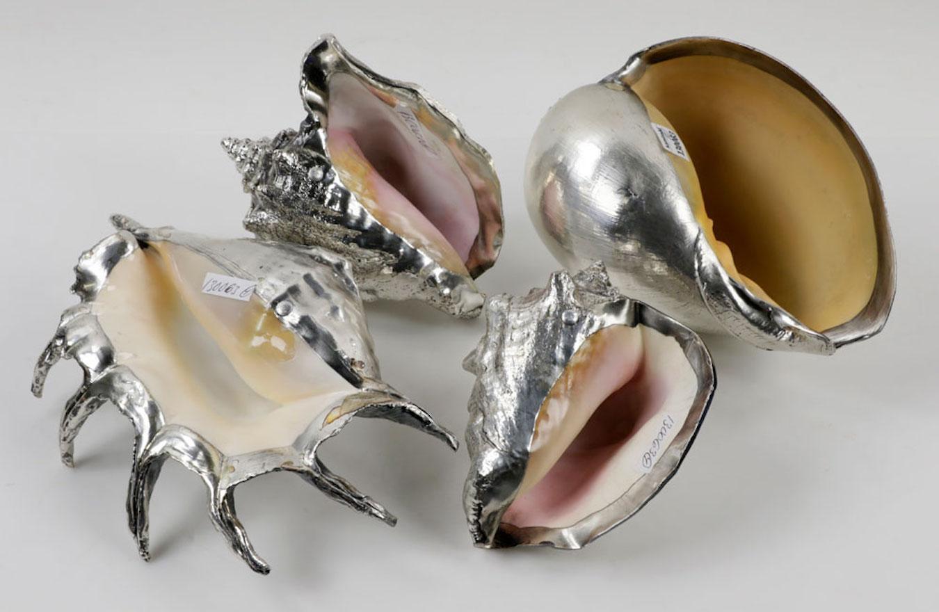 Buccellati style silver overlay sea shells set of four, oversized measuring approximately 13 inches by 8 .5 inches. Handmade in Italy.

Other shells measure:
11 X 6
6 X 6
8.5 X 7.5
13 X 8.5- largest 
