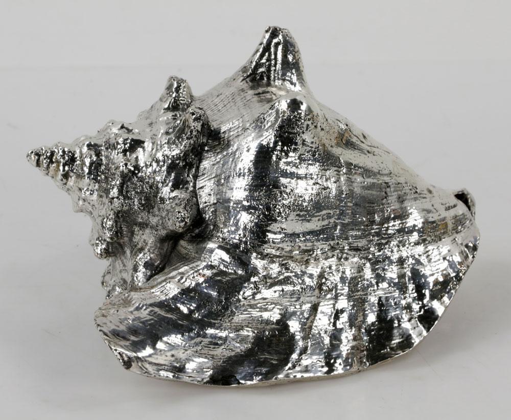 silver sea shells