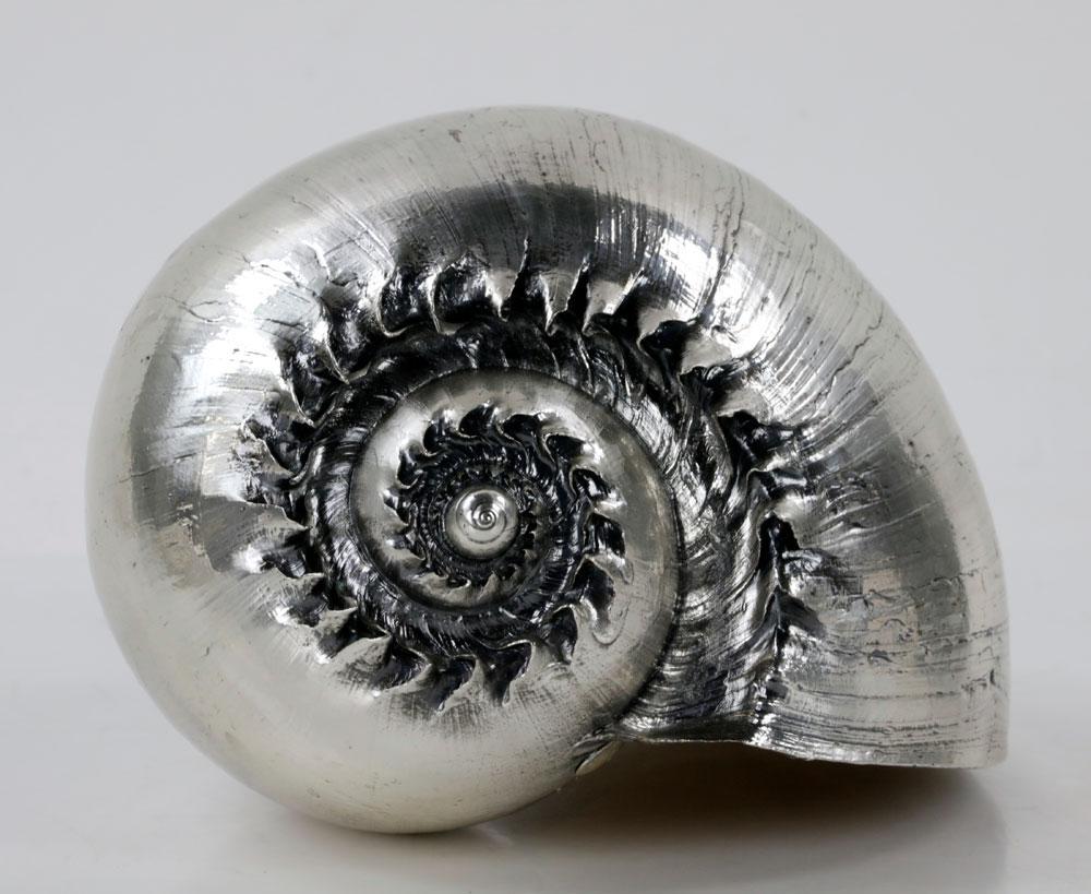 silver conch shell