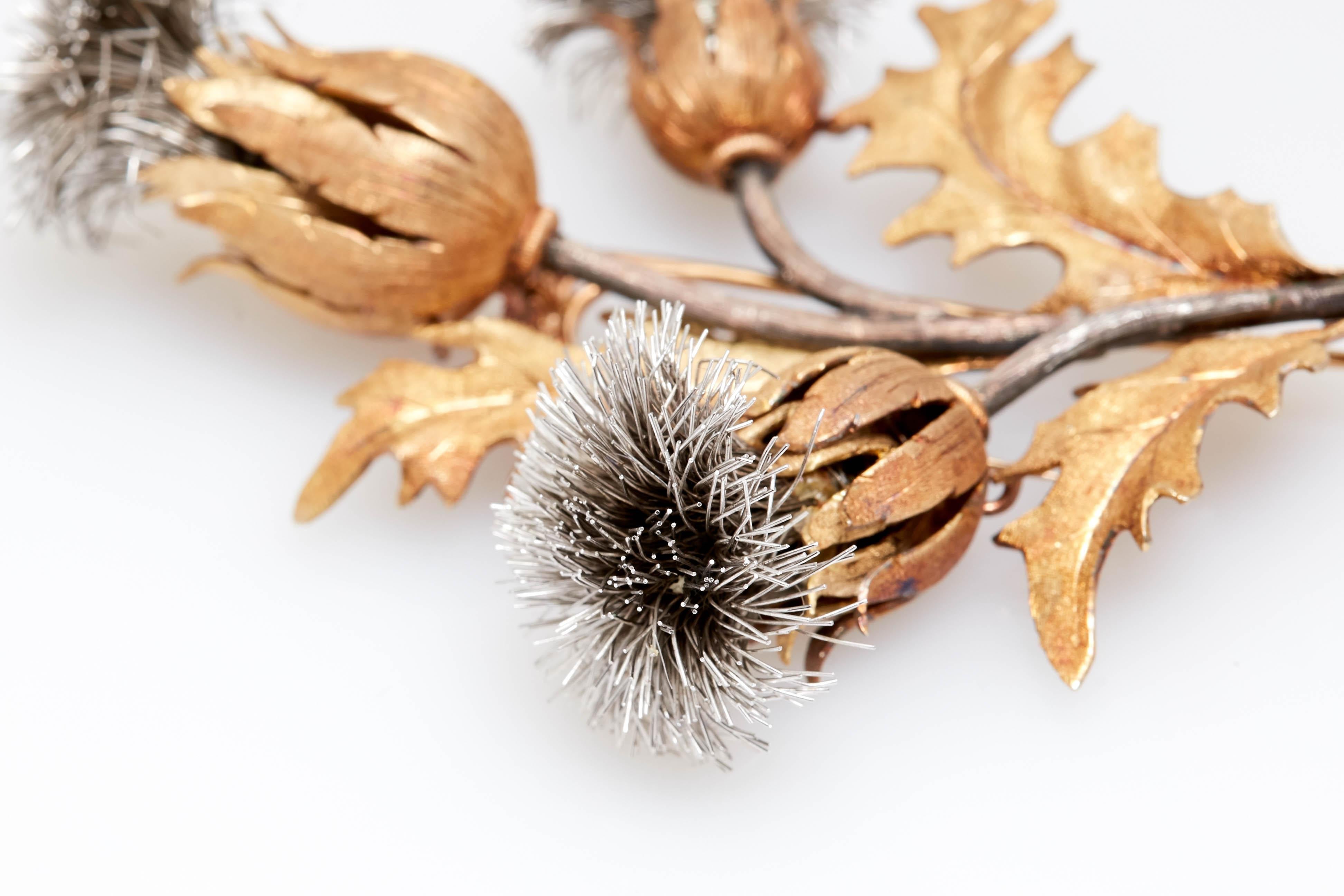 antique thistle brooch