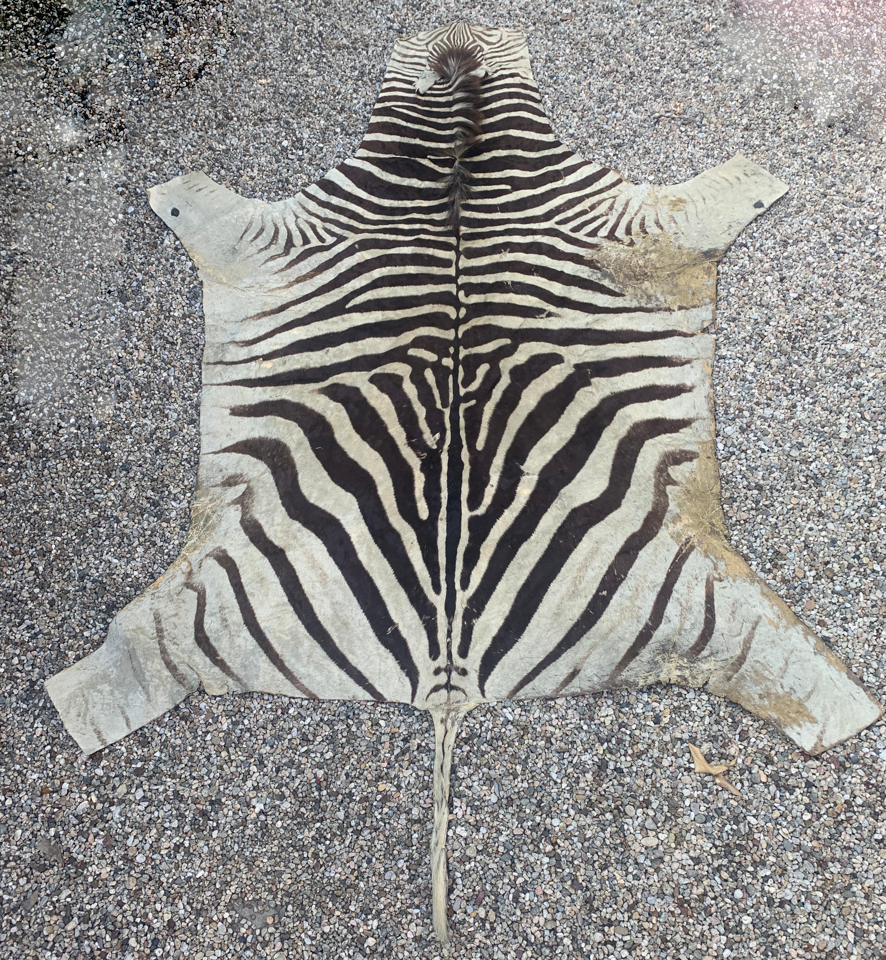 Rustic Buchelli Zebra Hide Rug