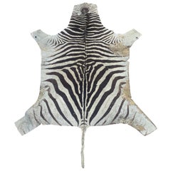 Vintage Buchelli Zebra Hide Rug