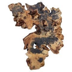 Buckeye Burl Floating Wall Art