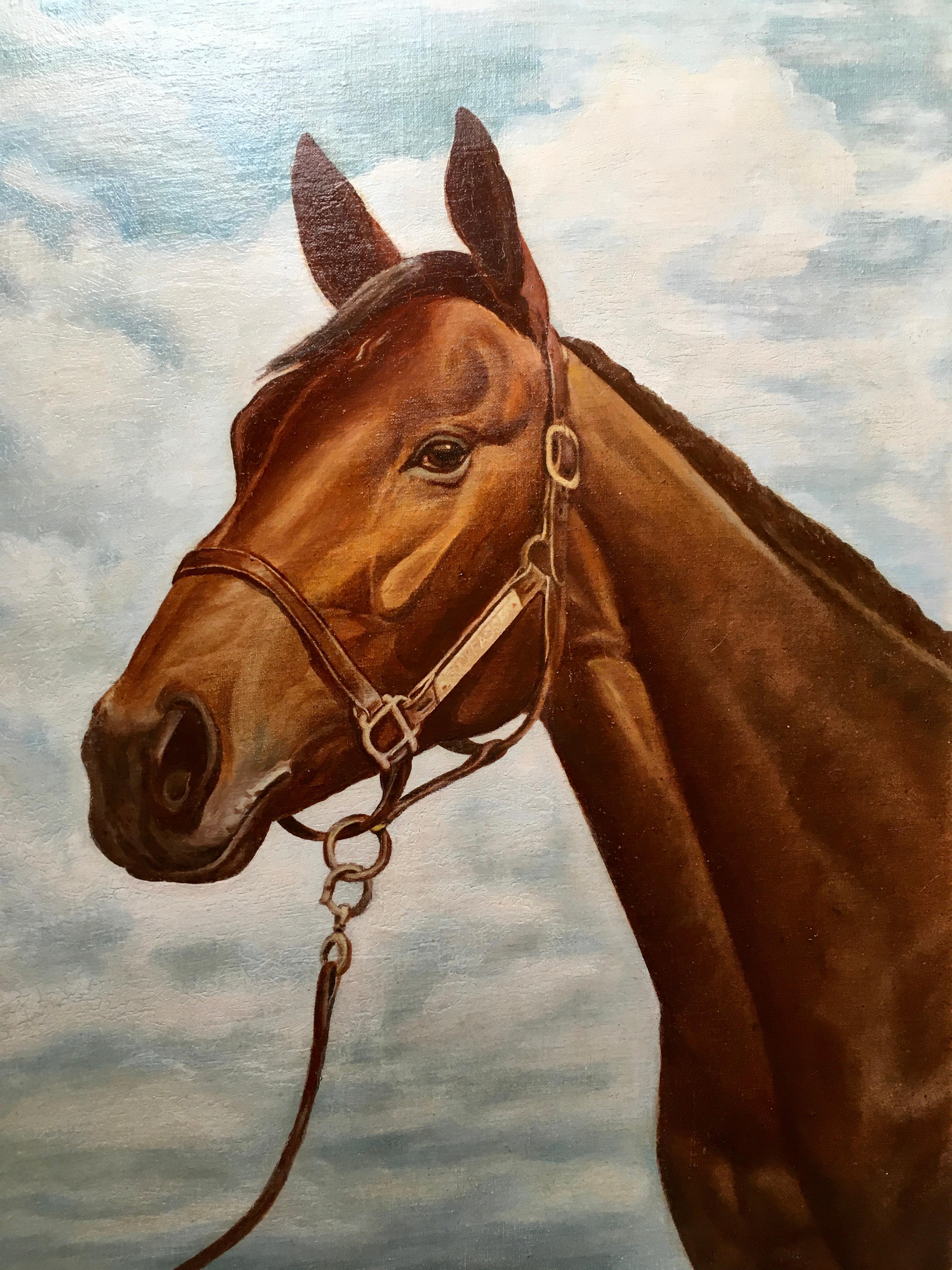 Australian ‘Buckpasser’ 1966 Horse of the Year Equine Portrait Oil Canvas Board