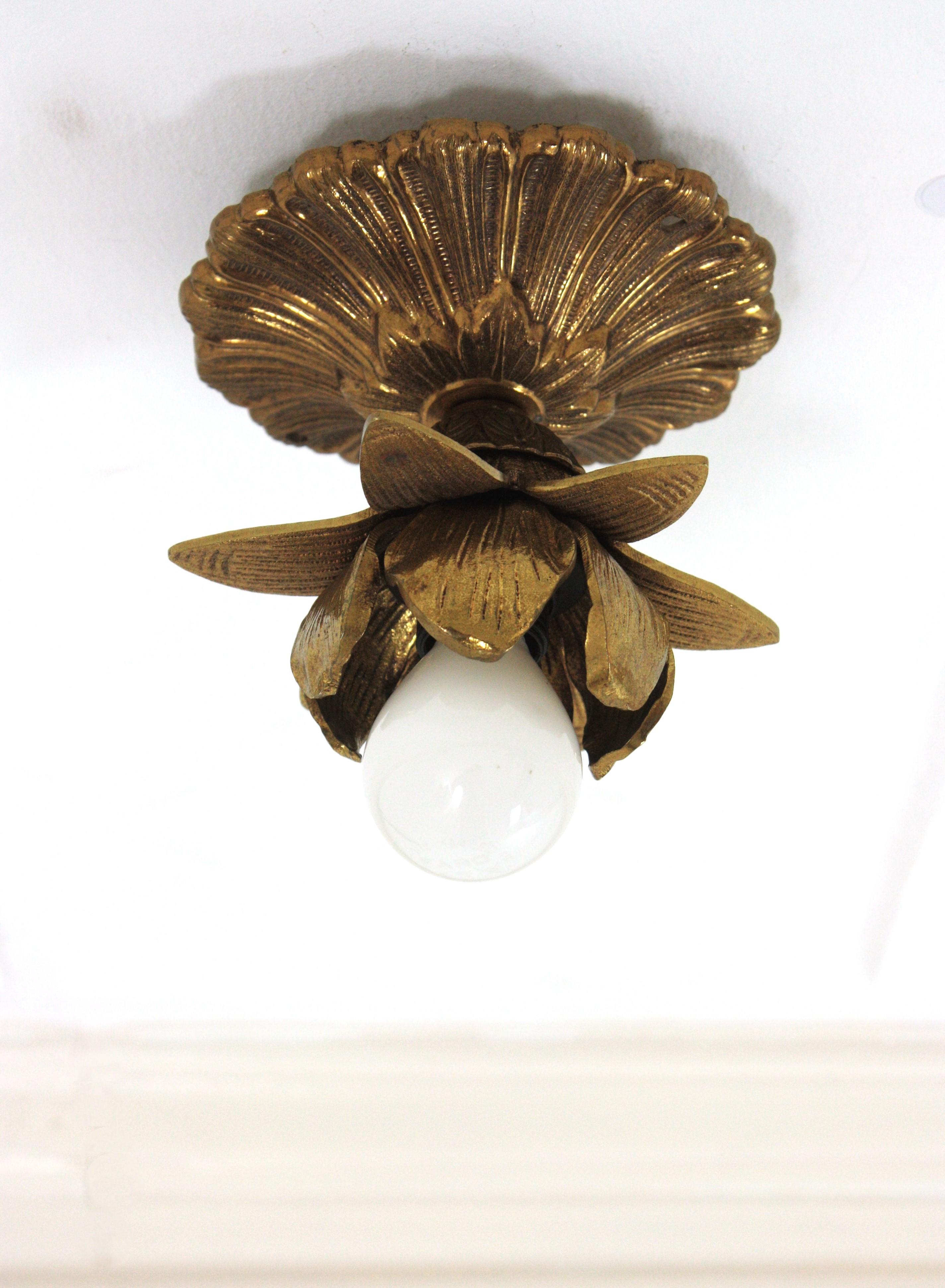 Plafoniera/applique a luce singola con bocciolo di fiori, bronzo
Spagna, anni '50
Una bellissima applique da incasso o da parete in bronzo dorato Hollywood Regency. Questa graziosa lampada è caratterizzata da una piastra posteriore rotonda smerlata