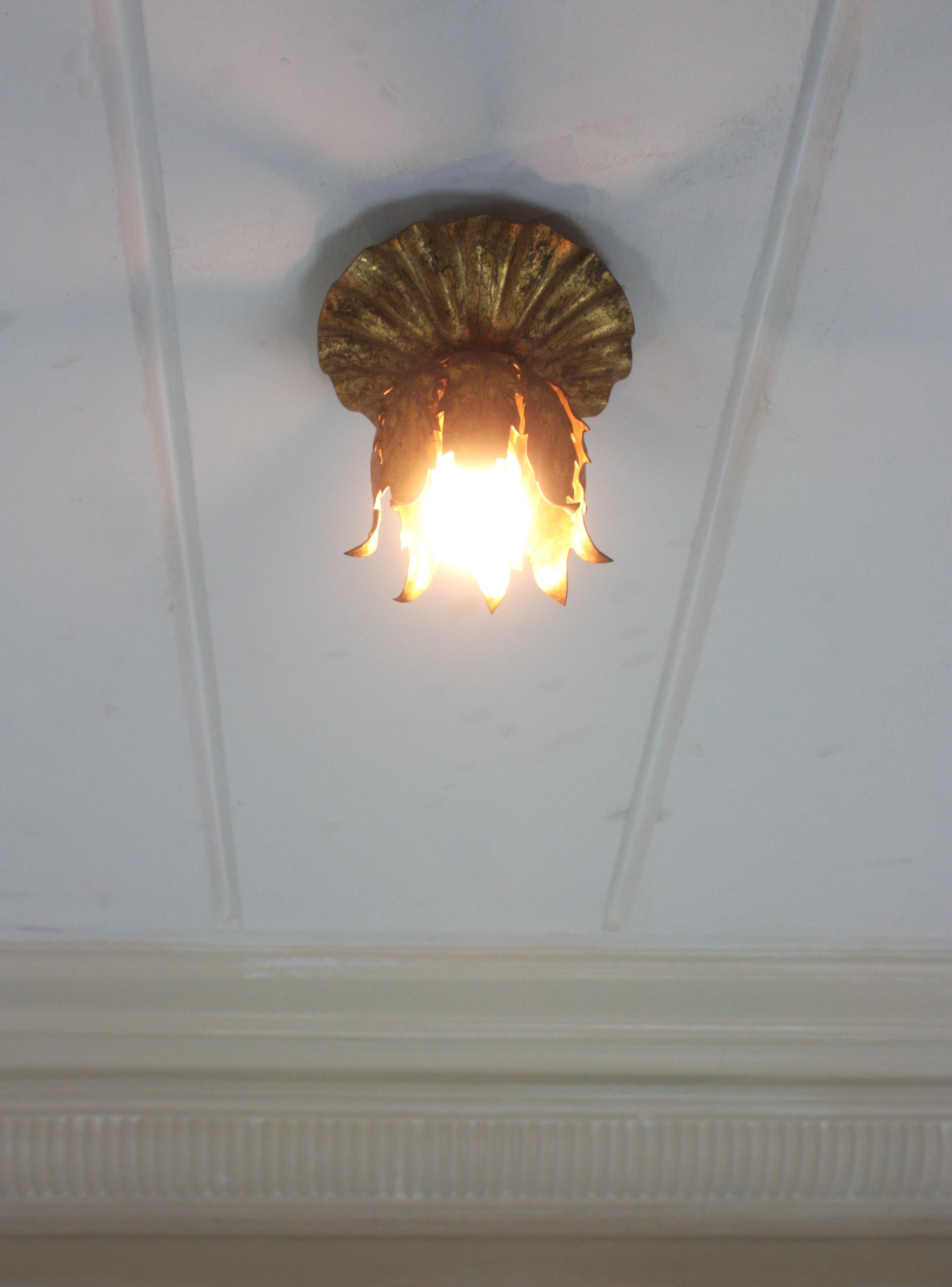 Bud Flower Light Fixture in Gilt Iron, Spain, 1950s For Sale 6