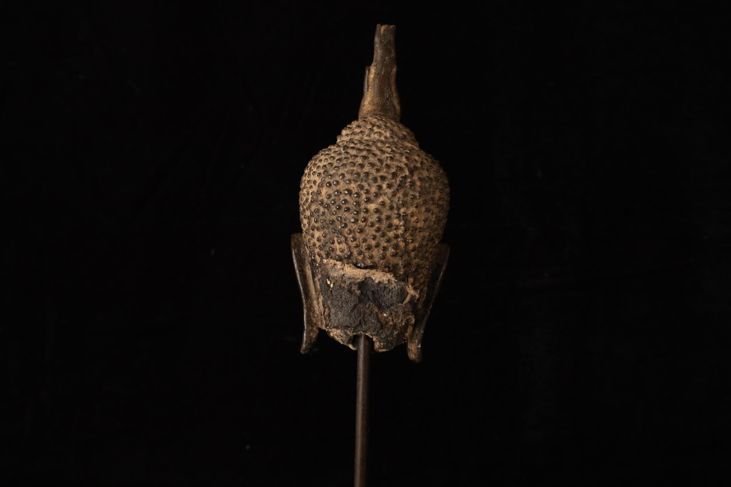 Cabeza de Buda, bronce dorado - Reino de Uthong, Tailandia (s. XIV-XV) en venta 3