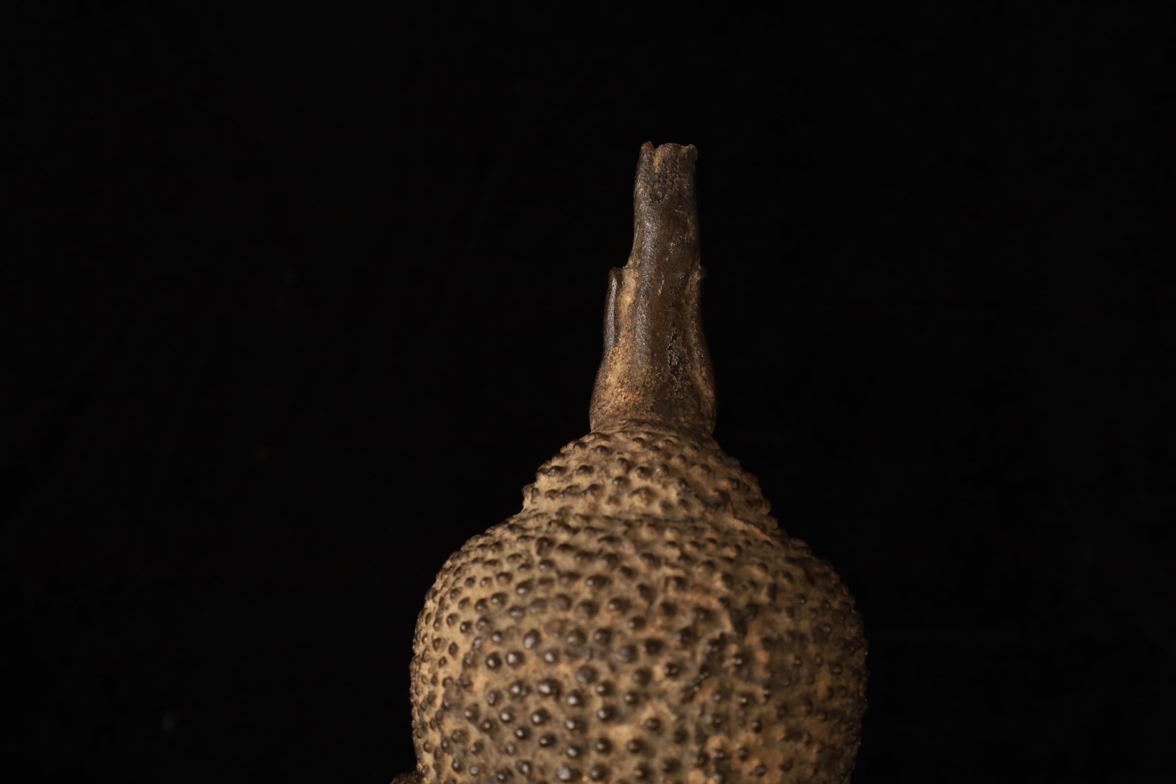 Cabeza de Buda, bronce dorado - Reino de Uthong, Tailandia (s. XIV-XV) en venta 5