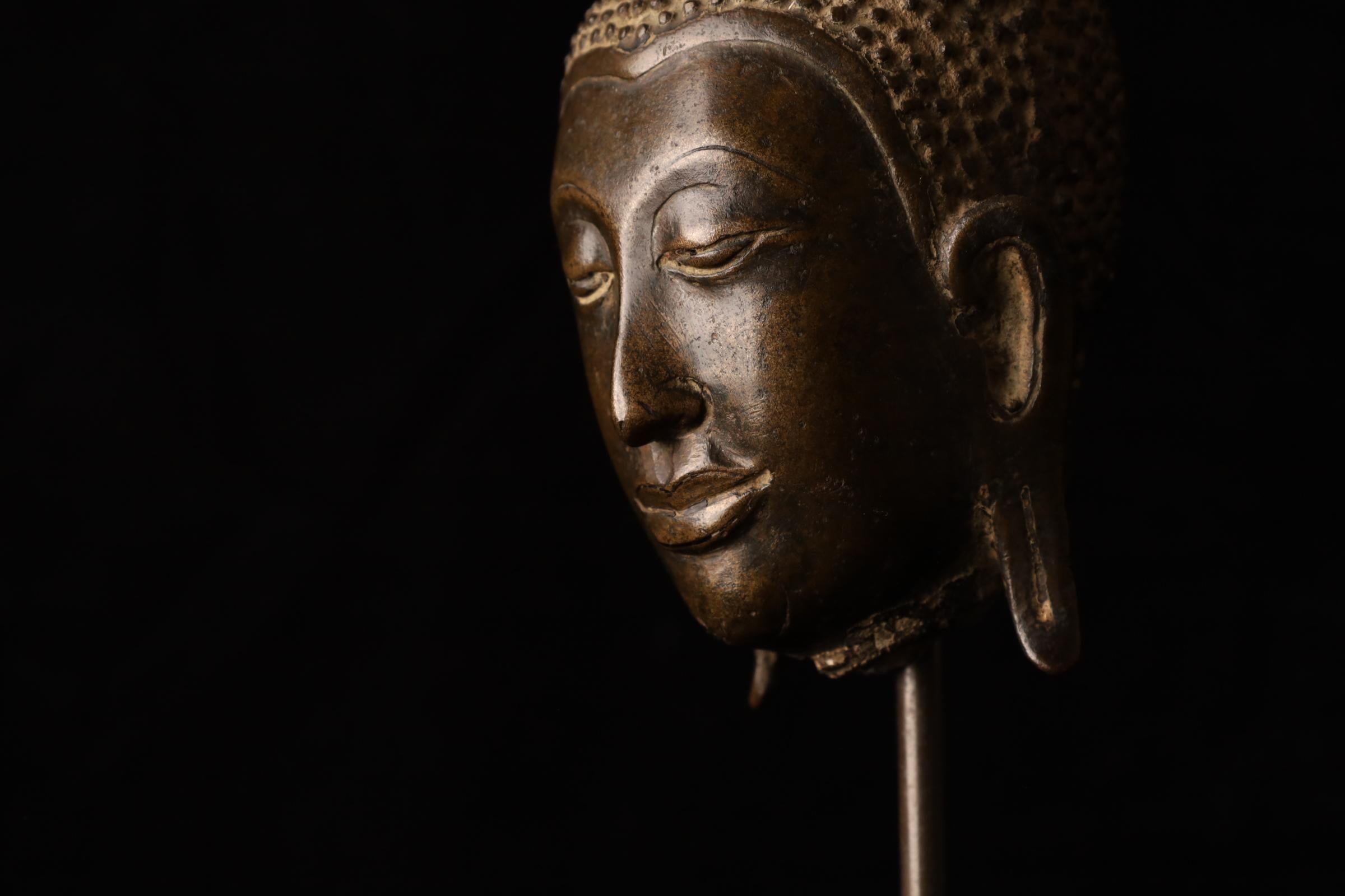 Cabeza de Buda, bronce dorado - Reino de Uthong, Tailandia (s. XIV-XV) en venta 8