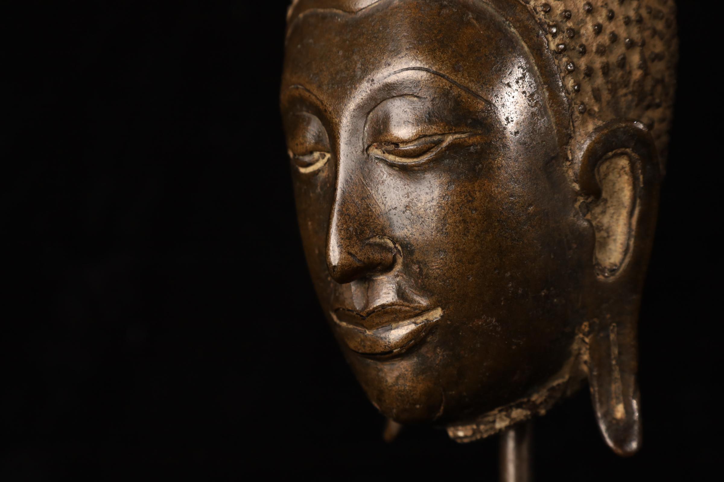 Cabeza de Buda, bronce dorado - Reino de Uthong, Tailandia (s. XIV-XV) Dorado en venta