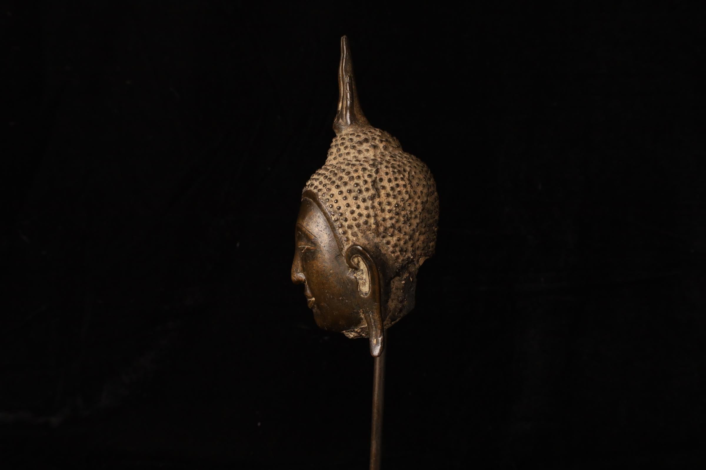 Cabeza de Buda, bronce dorado - Reino de Uthong, Tailandia (s. XIV-XV) en venta 1