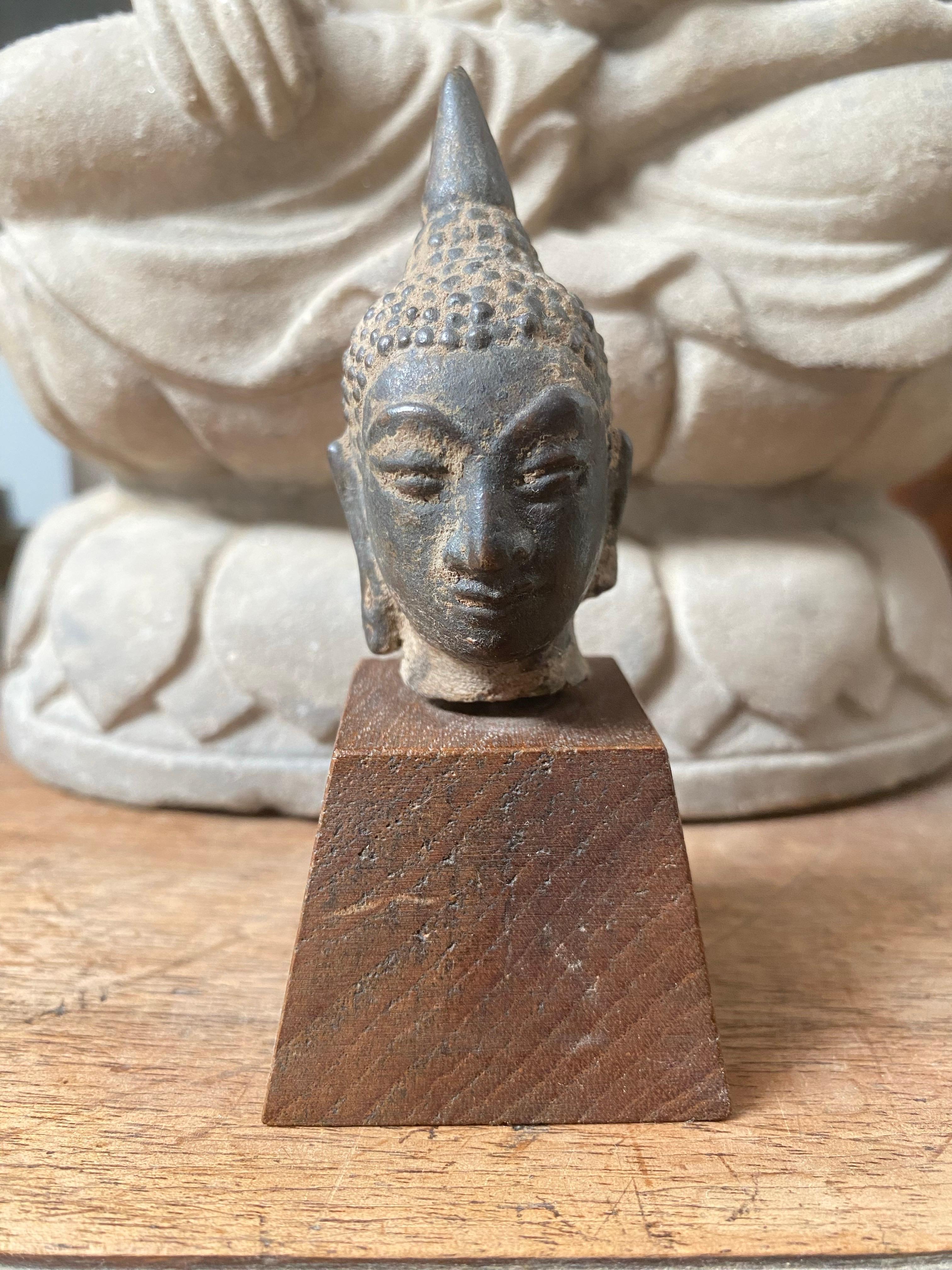 Buddha-Kopf - Thailand, Königreich Sukhothai oder Ayutthaya, 16. bis 17. im Angebot 5