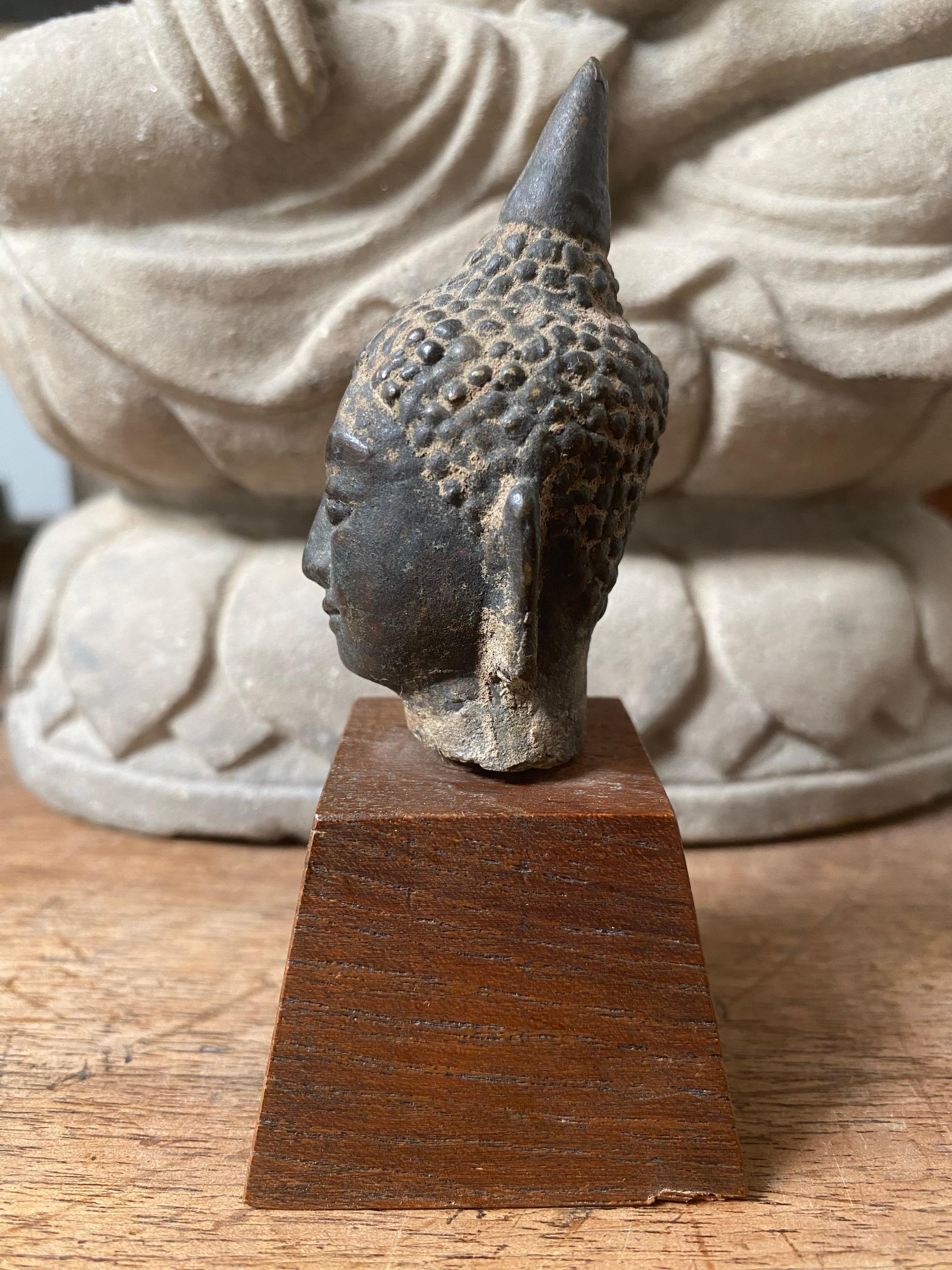 Buddha-Kopf - Thailand, Königreich Sukhothai oder Ayutthaya, 16. bis 17. (18. Jahrhundert und früher) im Angebot