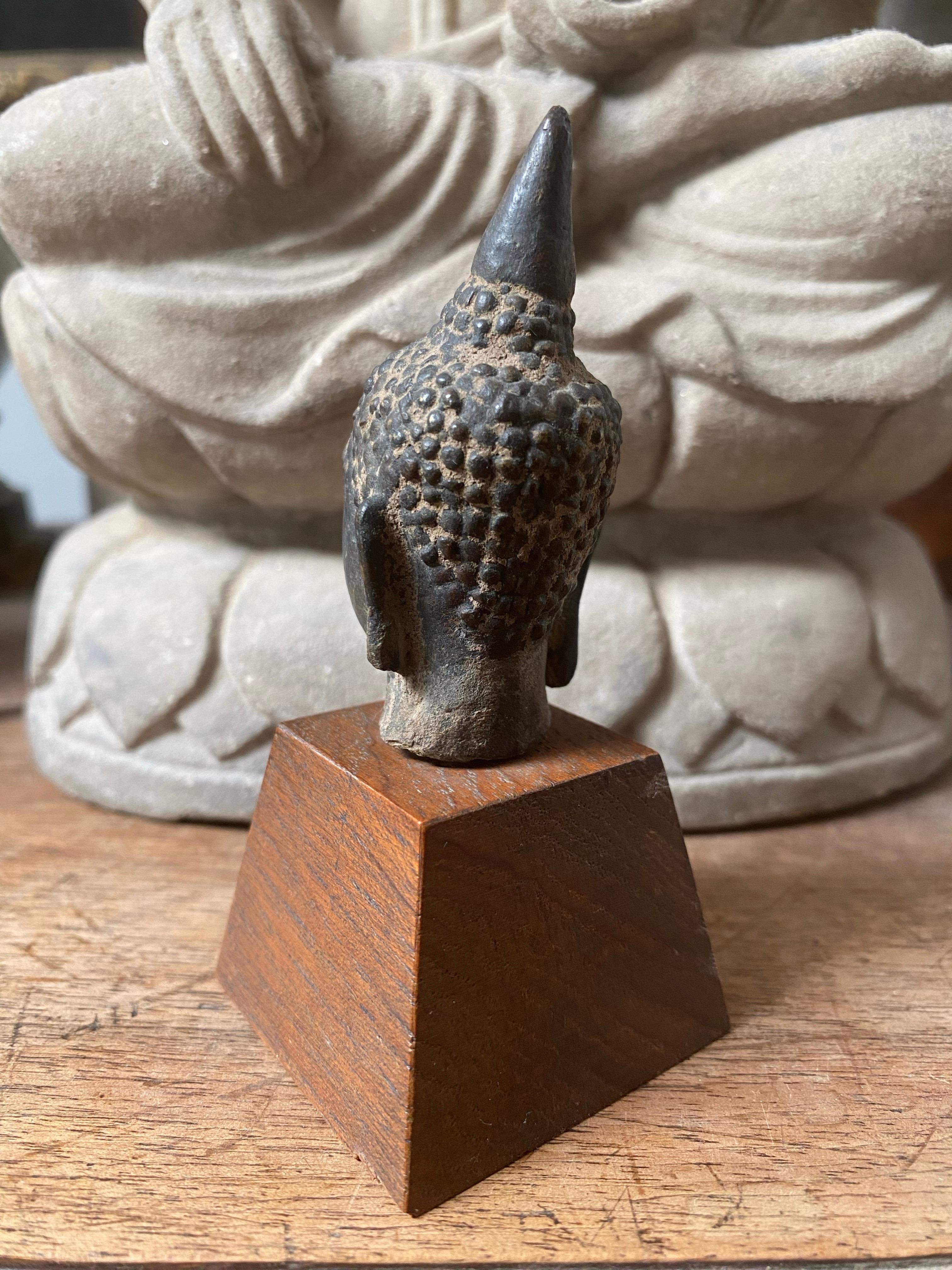 Buddha-Kopf - Thailand, Königreich Sukhothai oder Ayutthaya, 16. bis 17. im Angebot 1