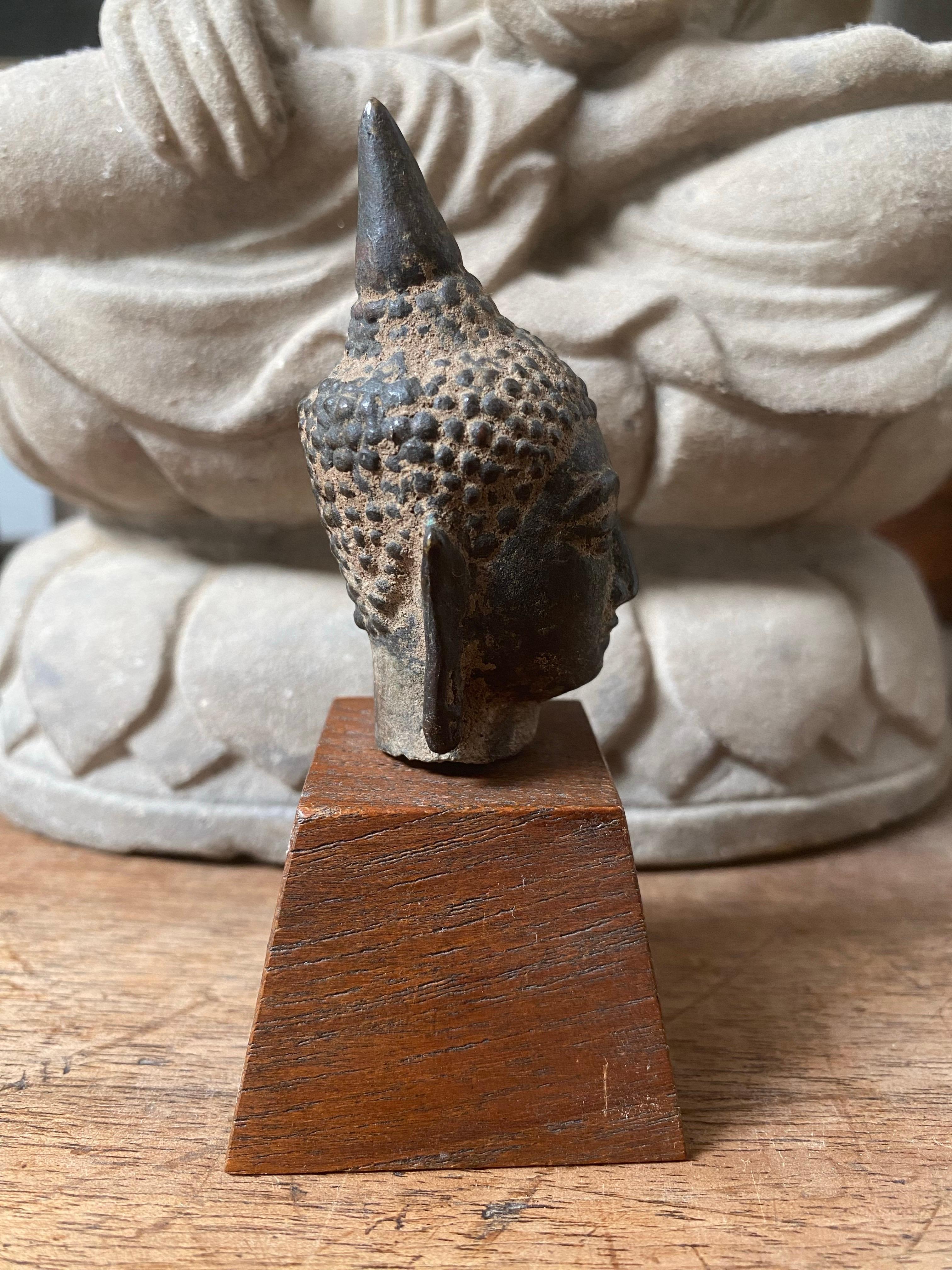 Buddha-Kopf - Thailand, Königreich Sukhothai oder Ayutthaya, 16. bis 17. im Angebot 3