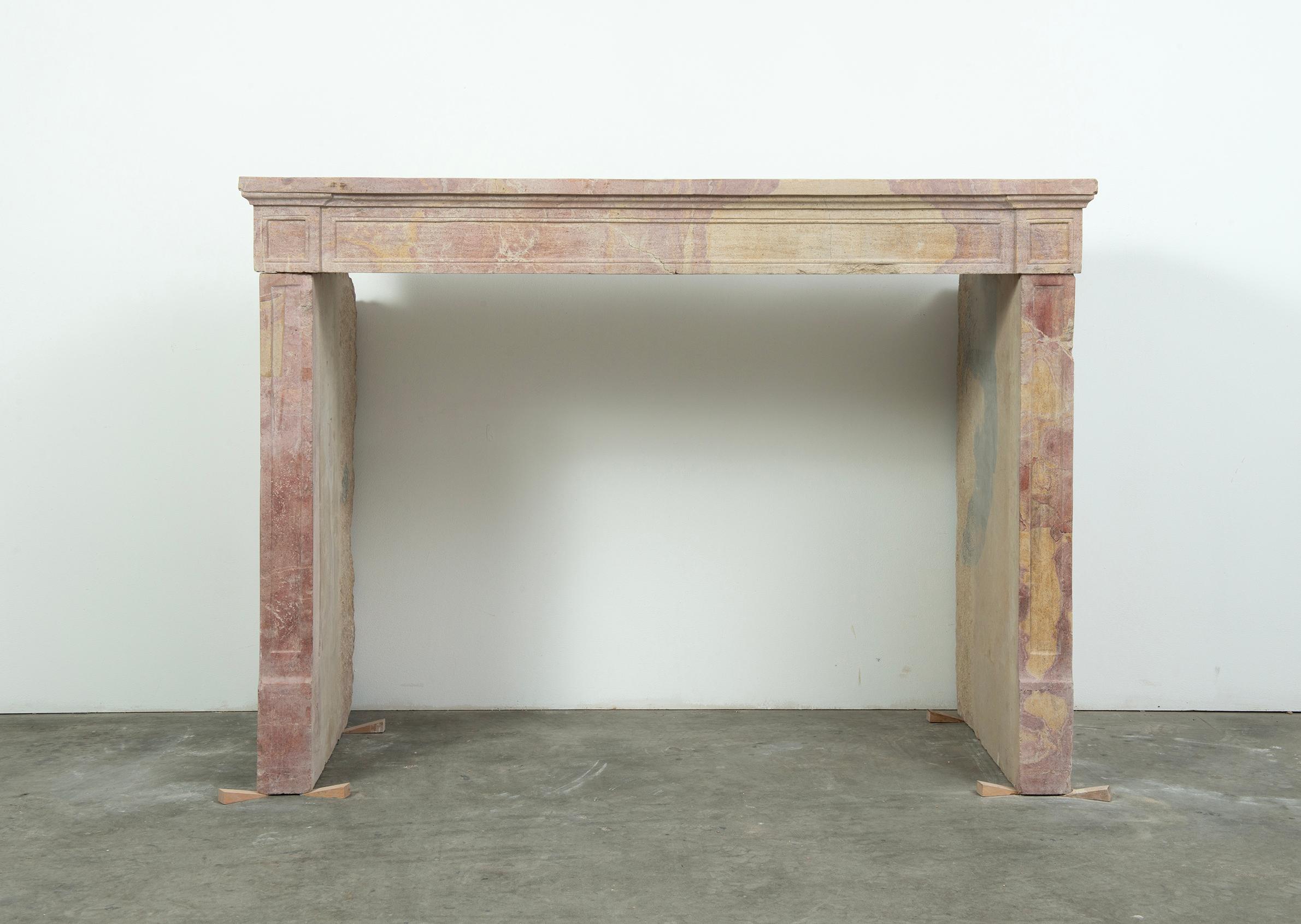 Budget-Friendly Louis XVI Paneled Fireplace in Rare Multicolored French Limeston For Sale 5
