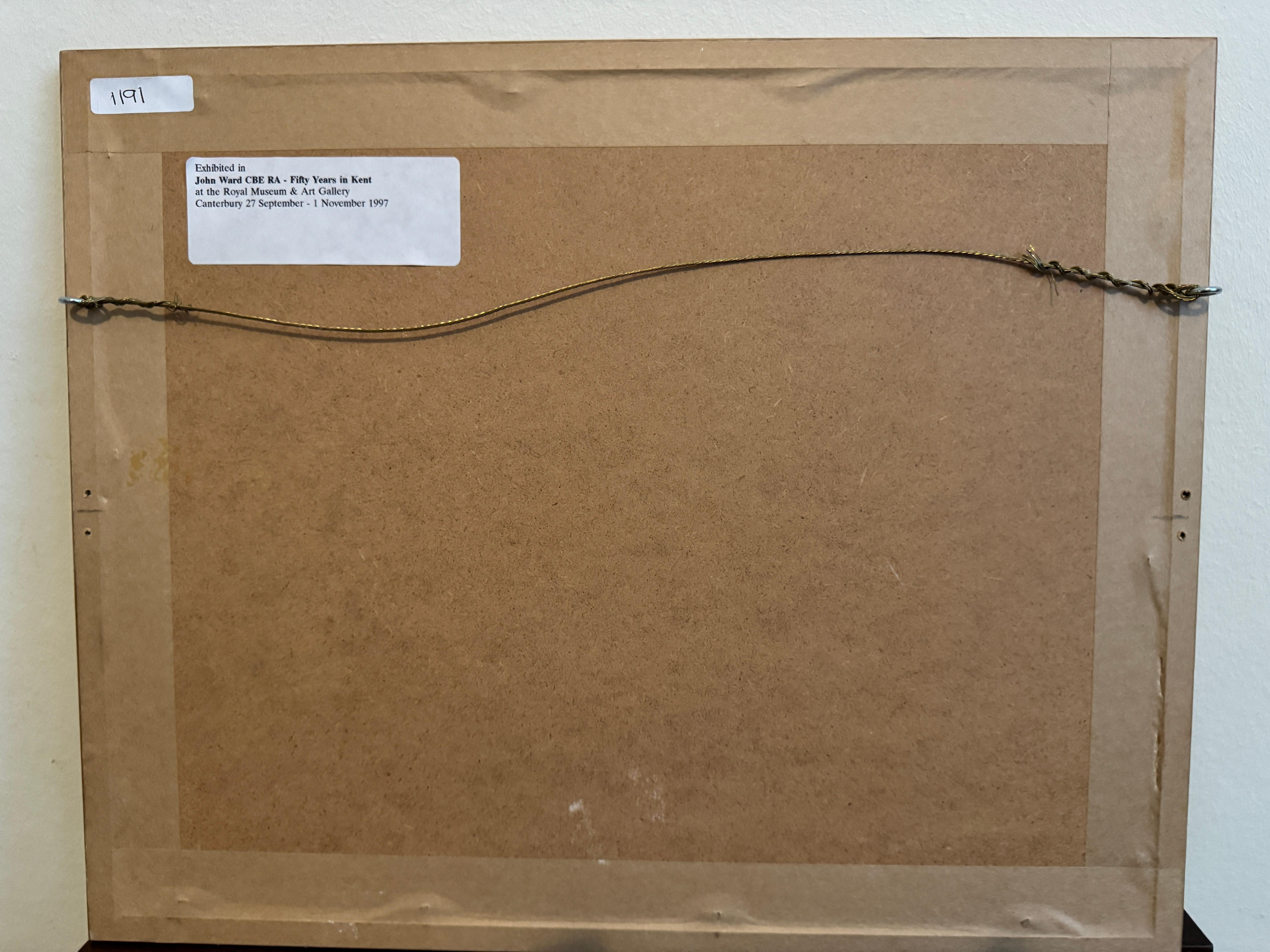 Hand-Painted 'Budgies and Cockatiels' by John Stanton Ward (1917 - 2007) For Sale