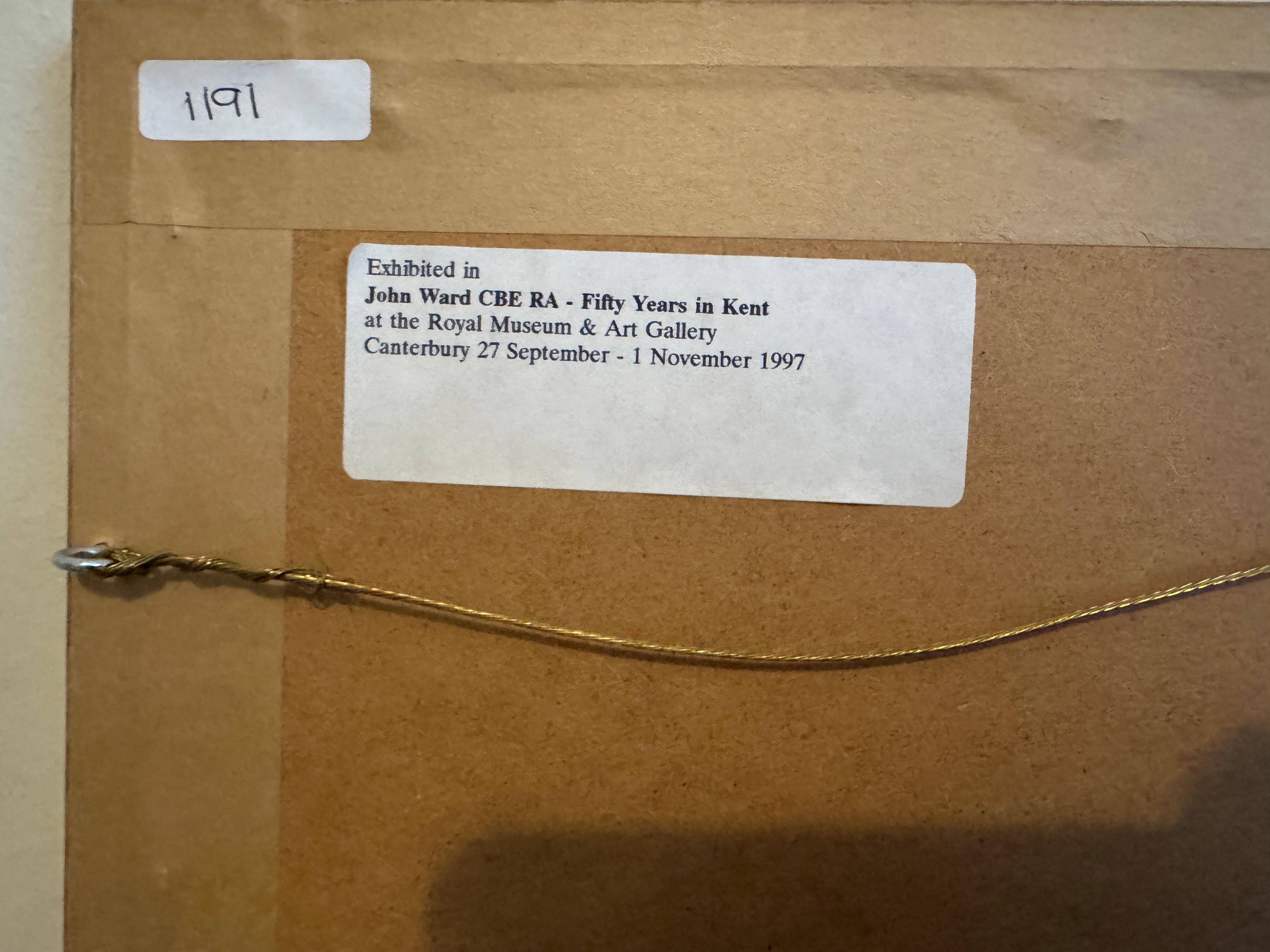 'Budgies and Cockatiels' by John Stanton Ward (1917 - 2007) In Good Condition For Sale In Basildon, GB