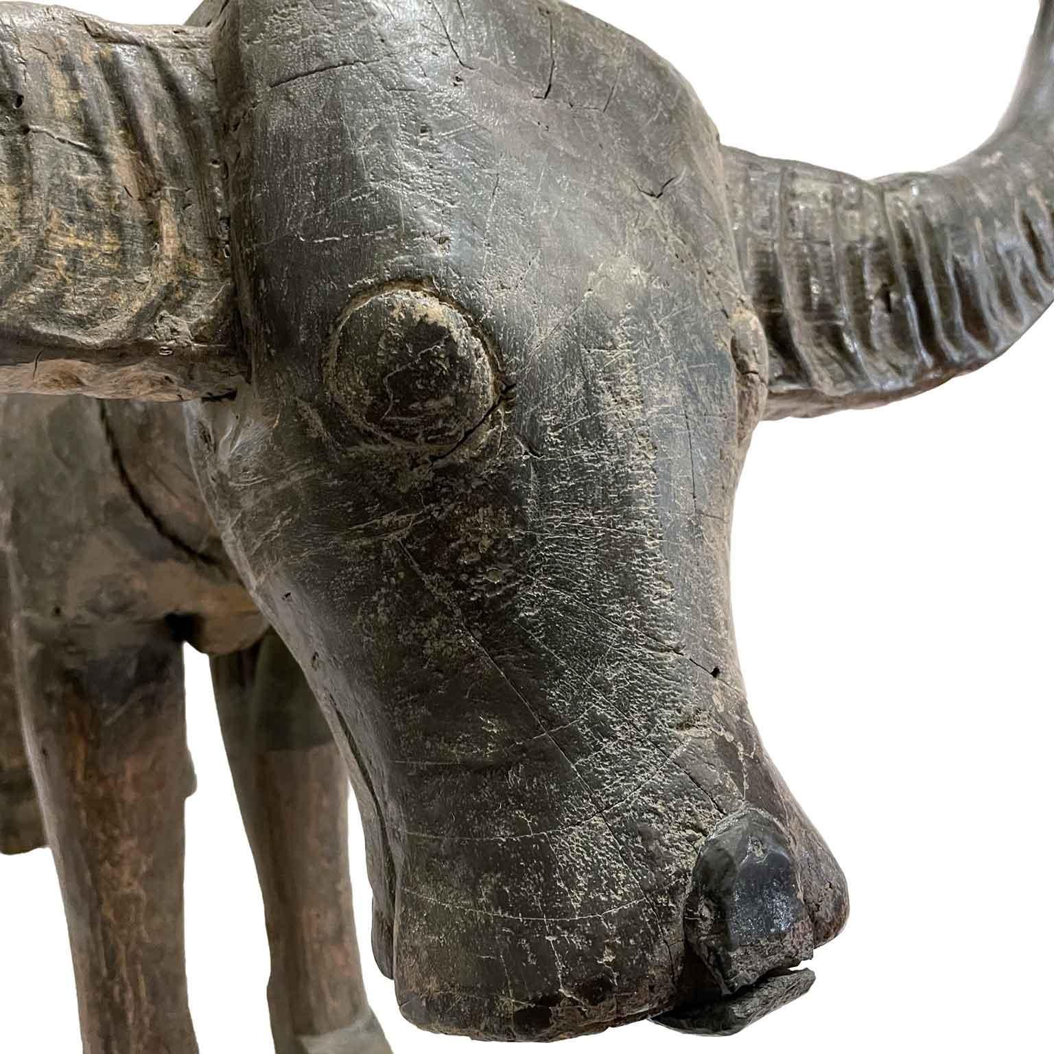 Bufalo D' Acqua Scultura Orientale In Legno Con Corna 1800 siglo XIX en venta