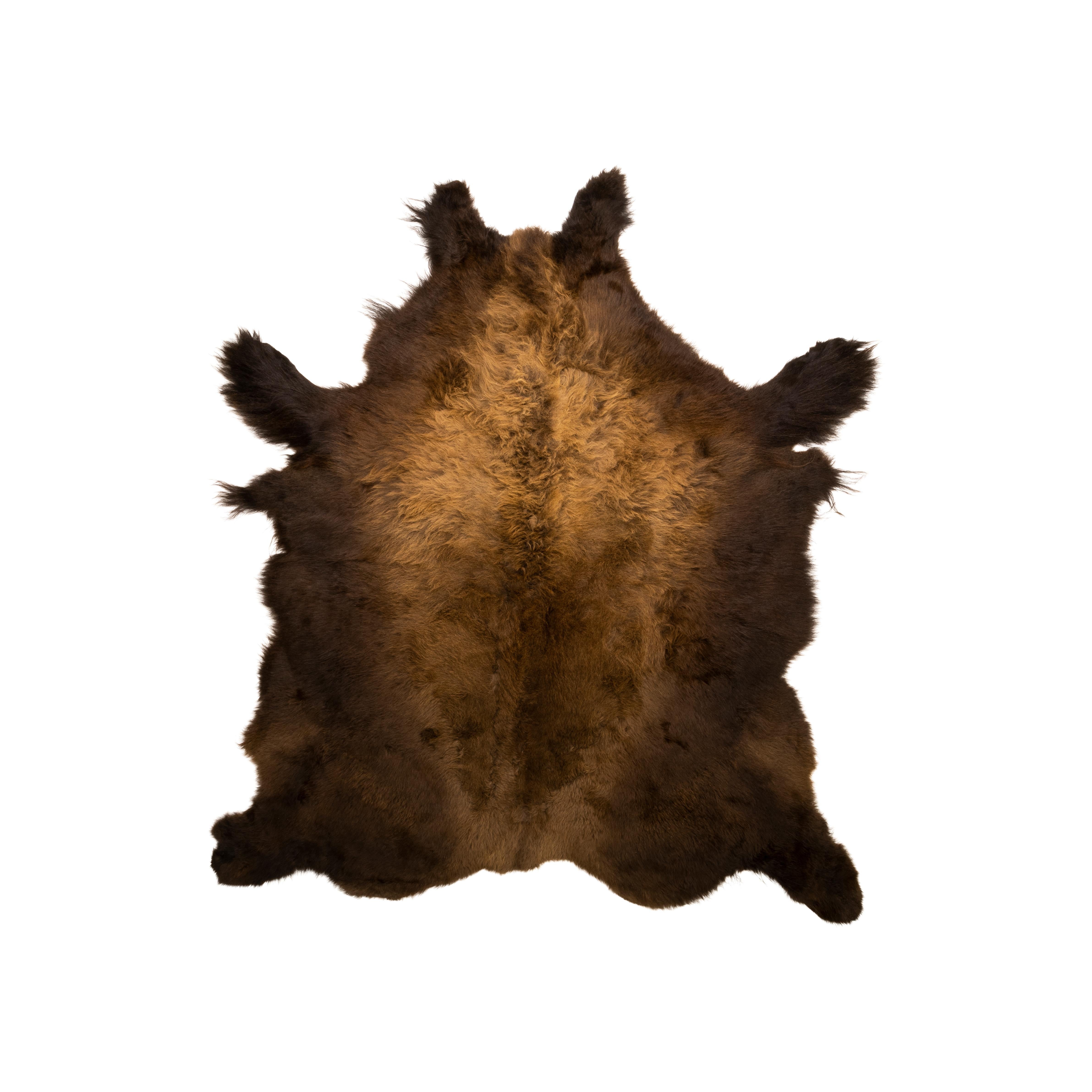 Extra large Montana buffalo hide. Long winter bi-color hair. Nice dark rich color.  Great lodge piece. Perfect for floor, bed or wall in a cabin, drape, robe or lodge. 

PERIOD: Contemporary
ORIGIN: United States, Montana
SIZE:  96