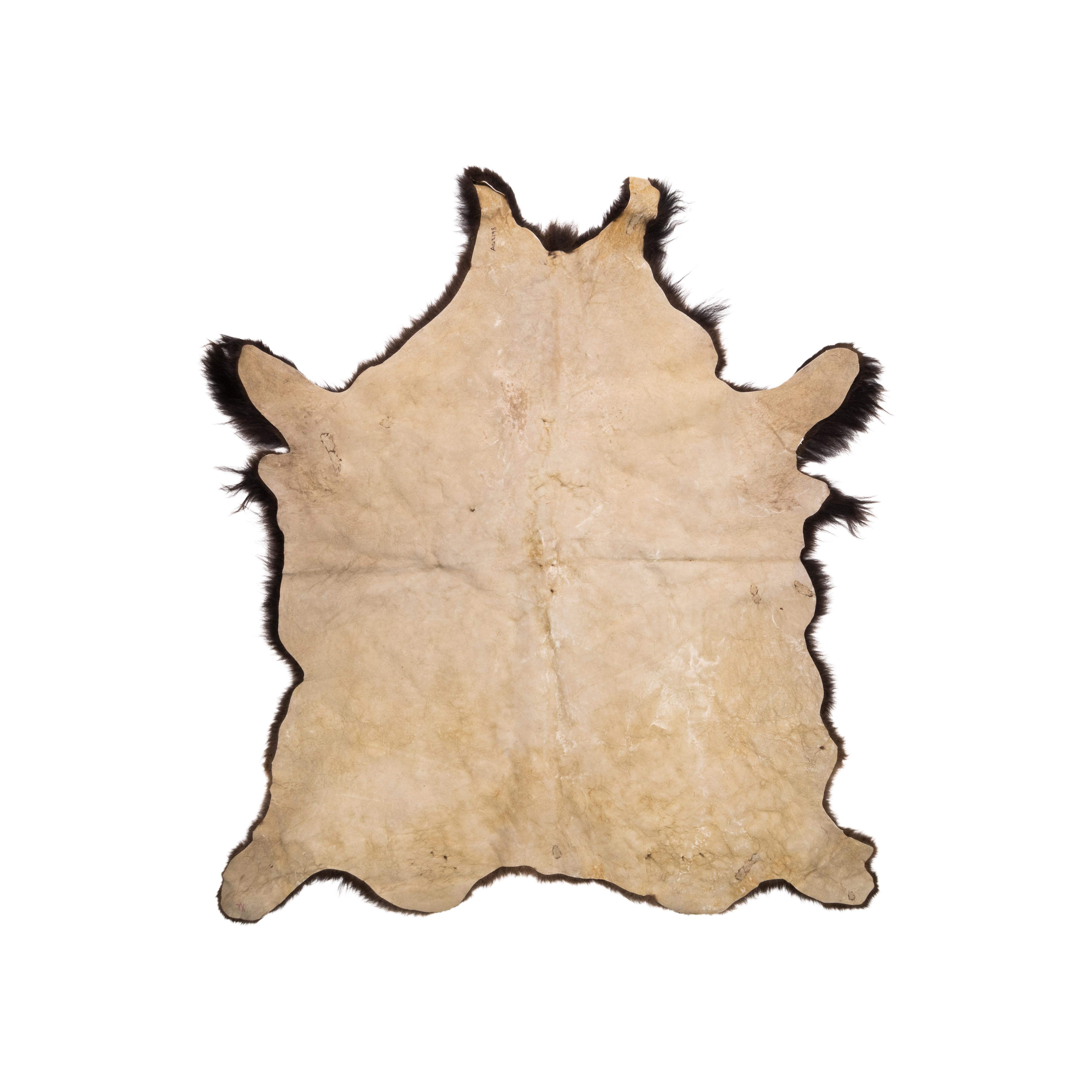 Buffalo Hide Taxidermy  In Good Condition For Sale In Coeur d'Alene, ID