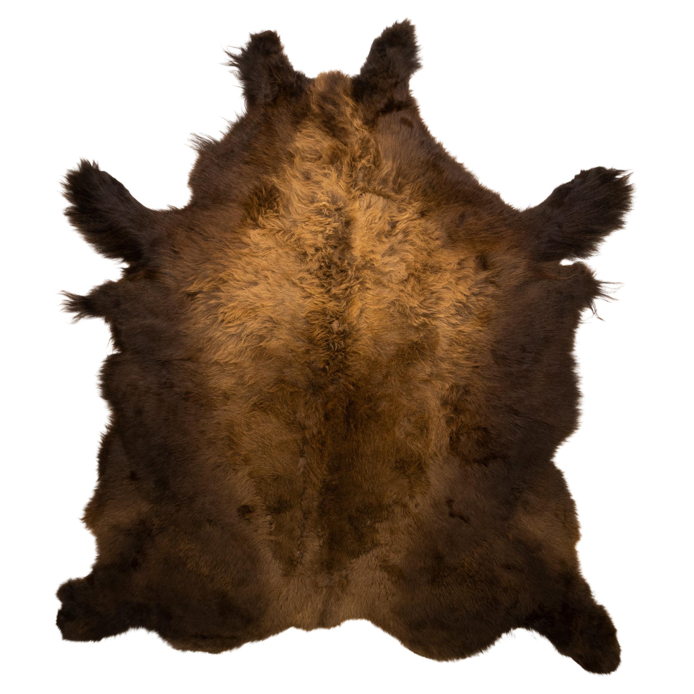 Buffalo Hide Taxidermy