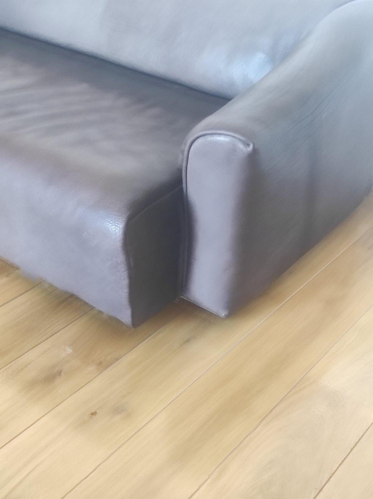 Canapé DS 47 en cuir de buffle par De Sede 1960s en vente 3