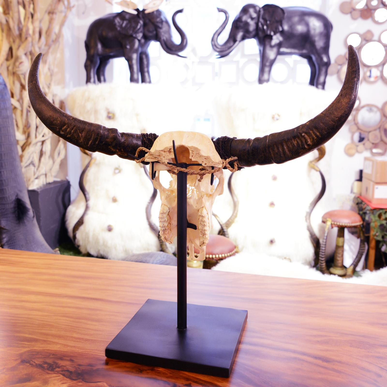 Hand-Crafted Buffalo Skull Hand-Carved Flower Sculpture